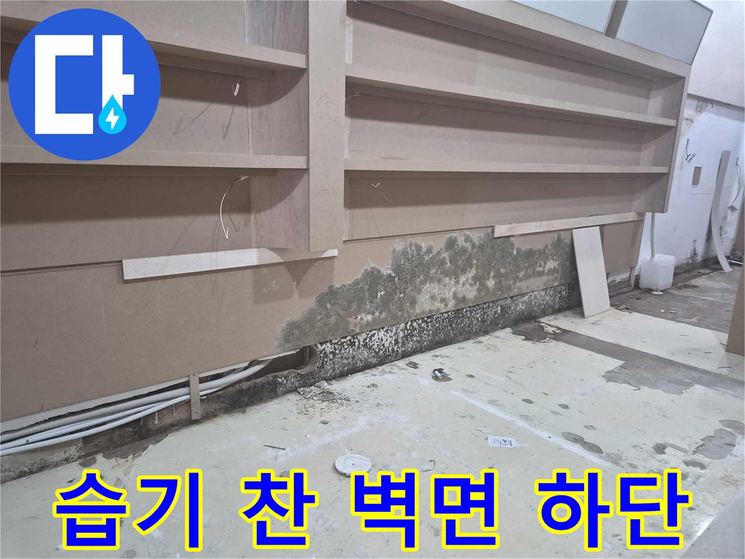 상가 가벽 아래-곰팡이로 오염된 마감재