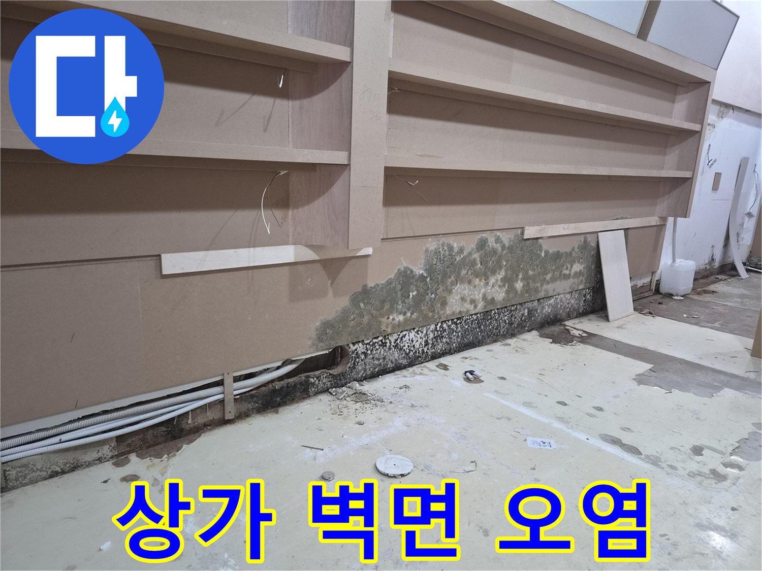 습기 유입으로 인한 벽면 곰팡이 확산 부위