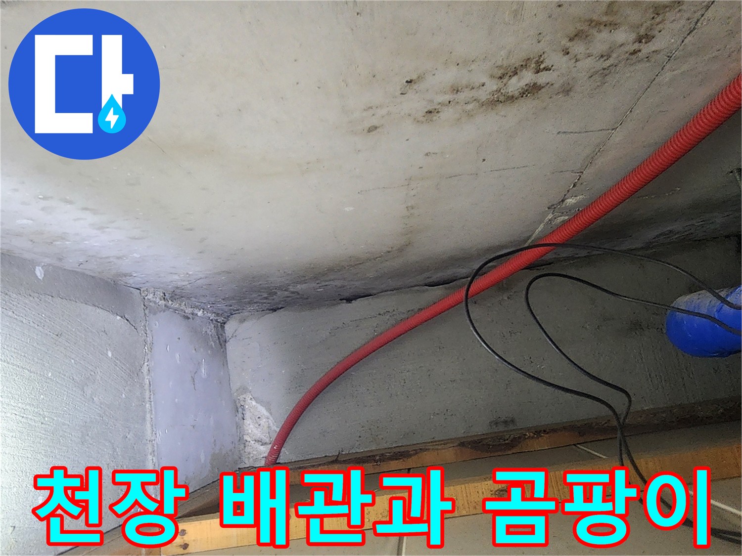 붉은색 배관 주변의 곰팡이와 얼룩진 천장면