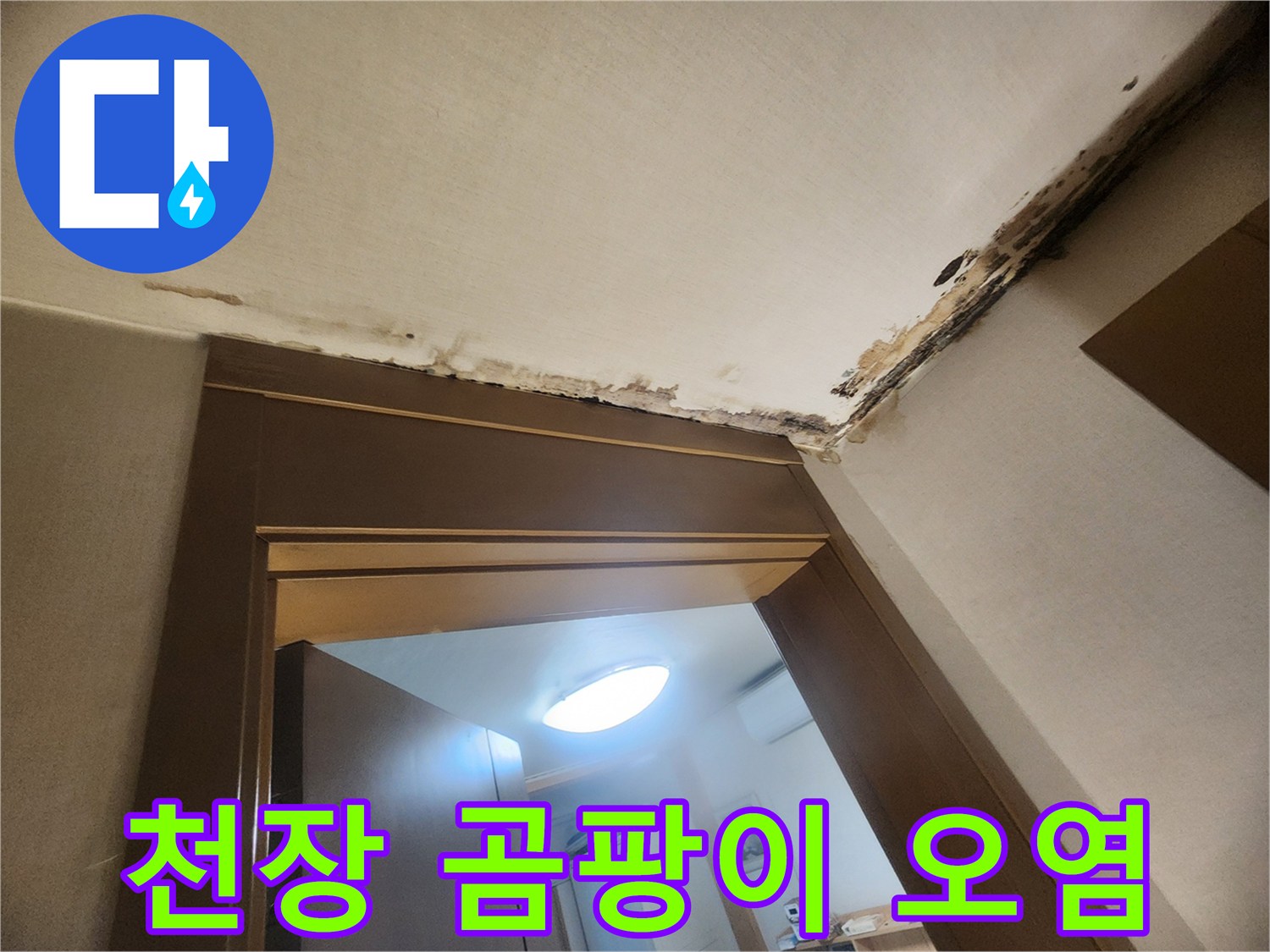 성내동 현장-천장 모서리 부분의 젖은 벽지와 곰팡이