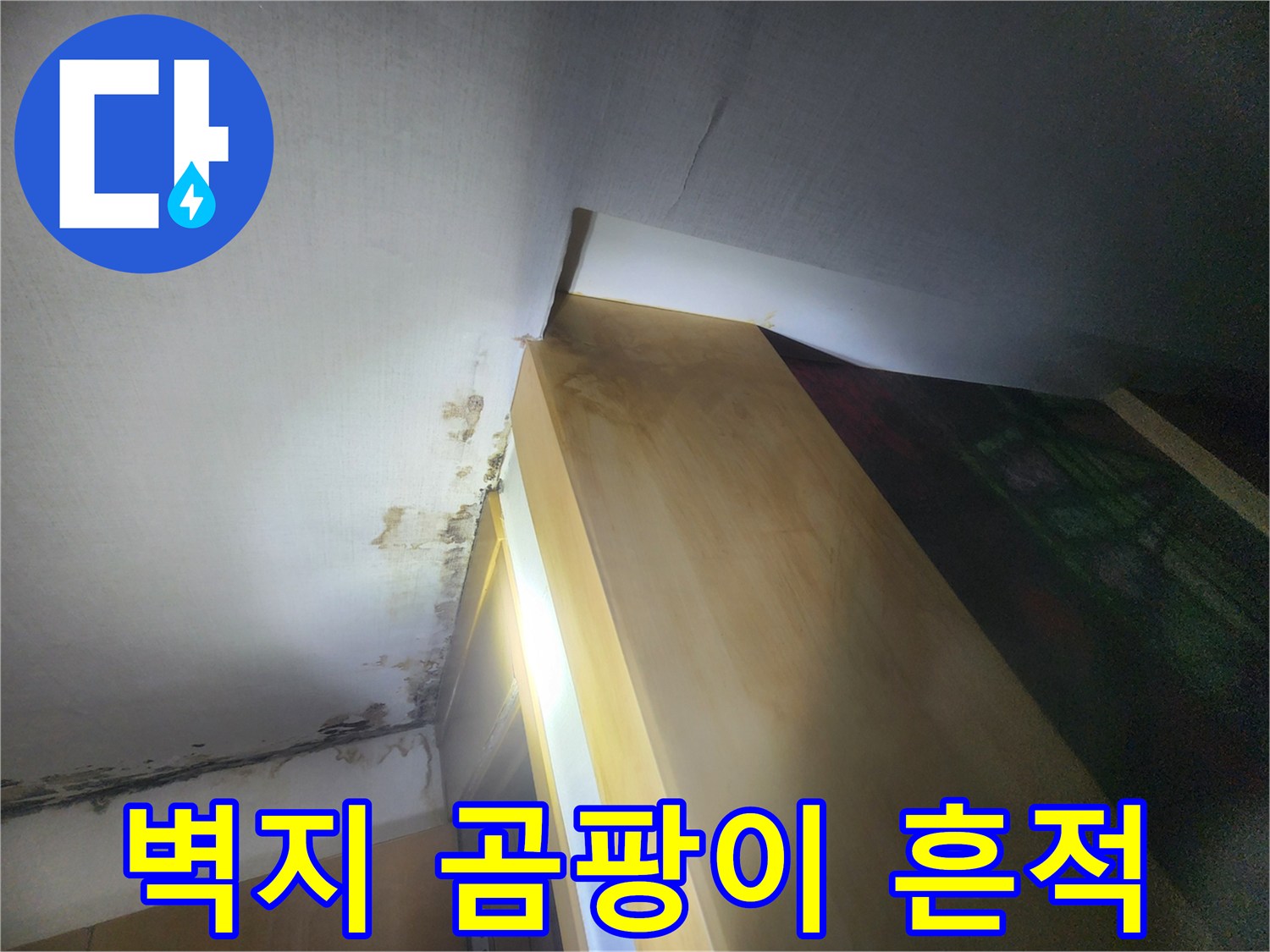 천장 경계면에 나타난 습기와 곰팡이 증상