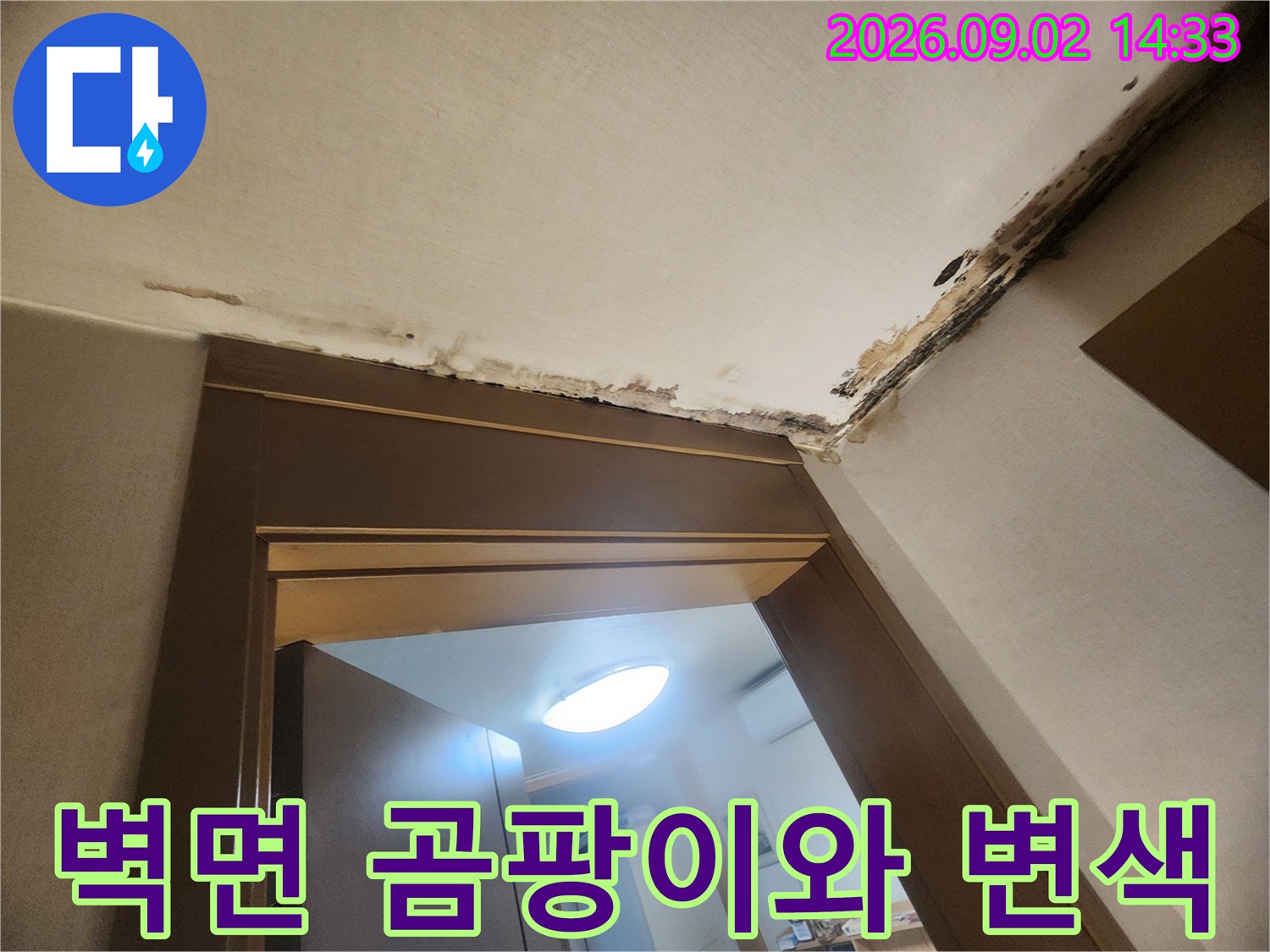천장 모서리 부위의-심각한 누수 흔적과 오염 상태