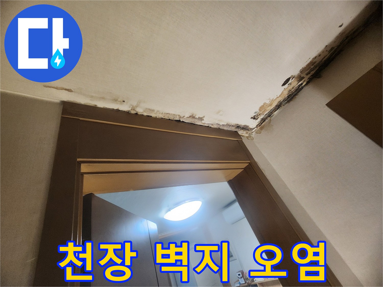 천장 몰딩 부근-검게 변한 곰팡이와 물에 젖은 벽지