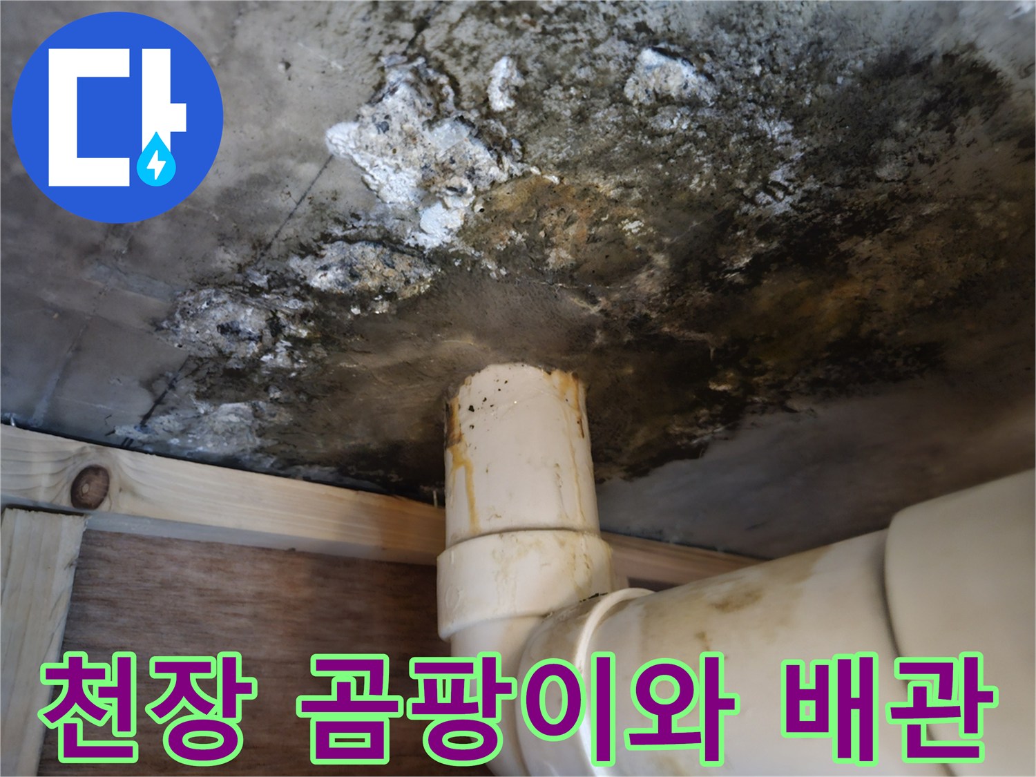 광주 퇴촌 현장-천장 슬래브 곰팡이 및 배수관 상태