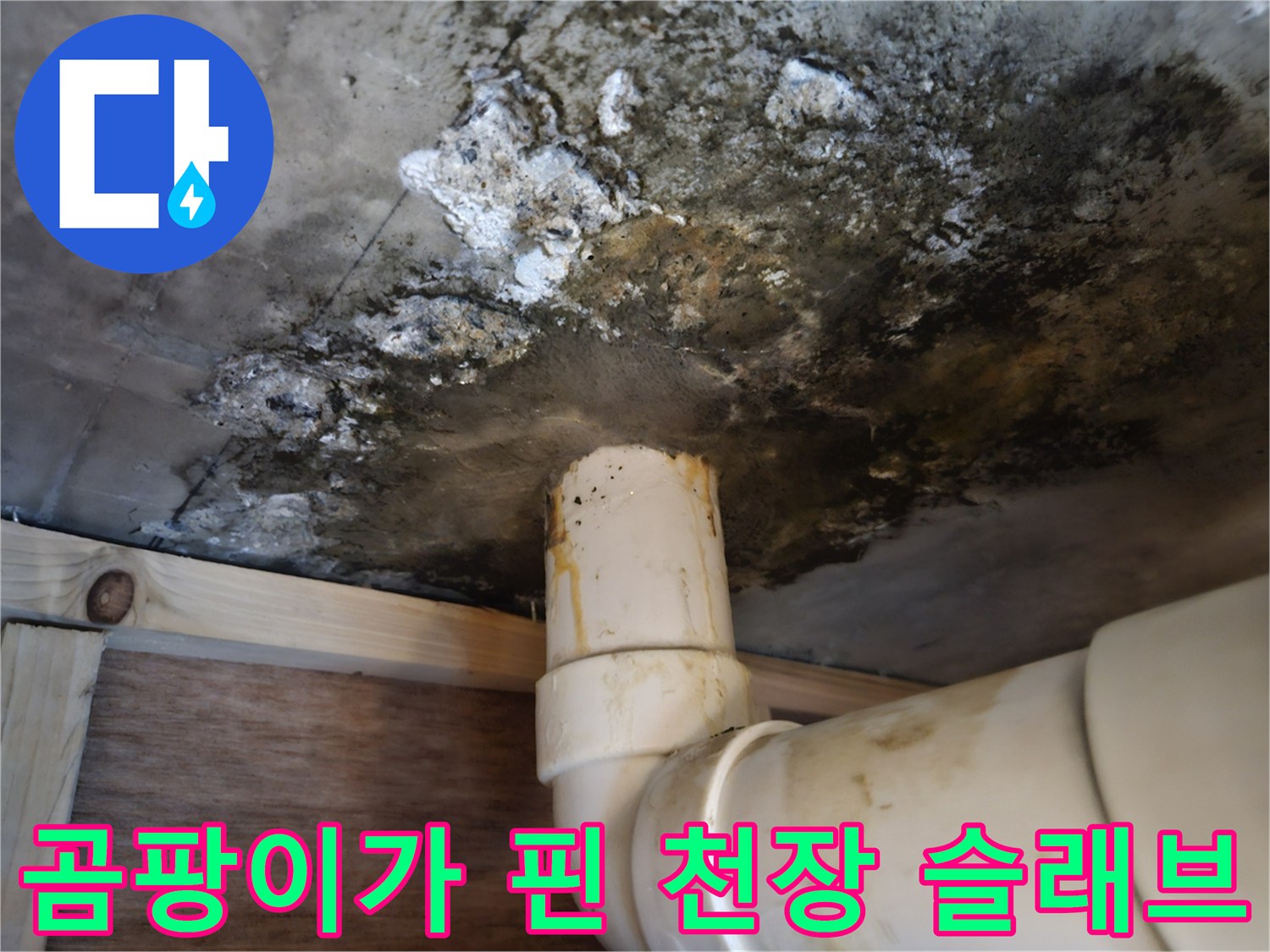 누수 피해 현장-배관 주변의 심각한 곰팡이 오염