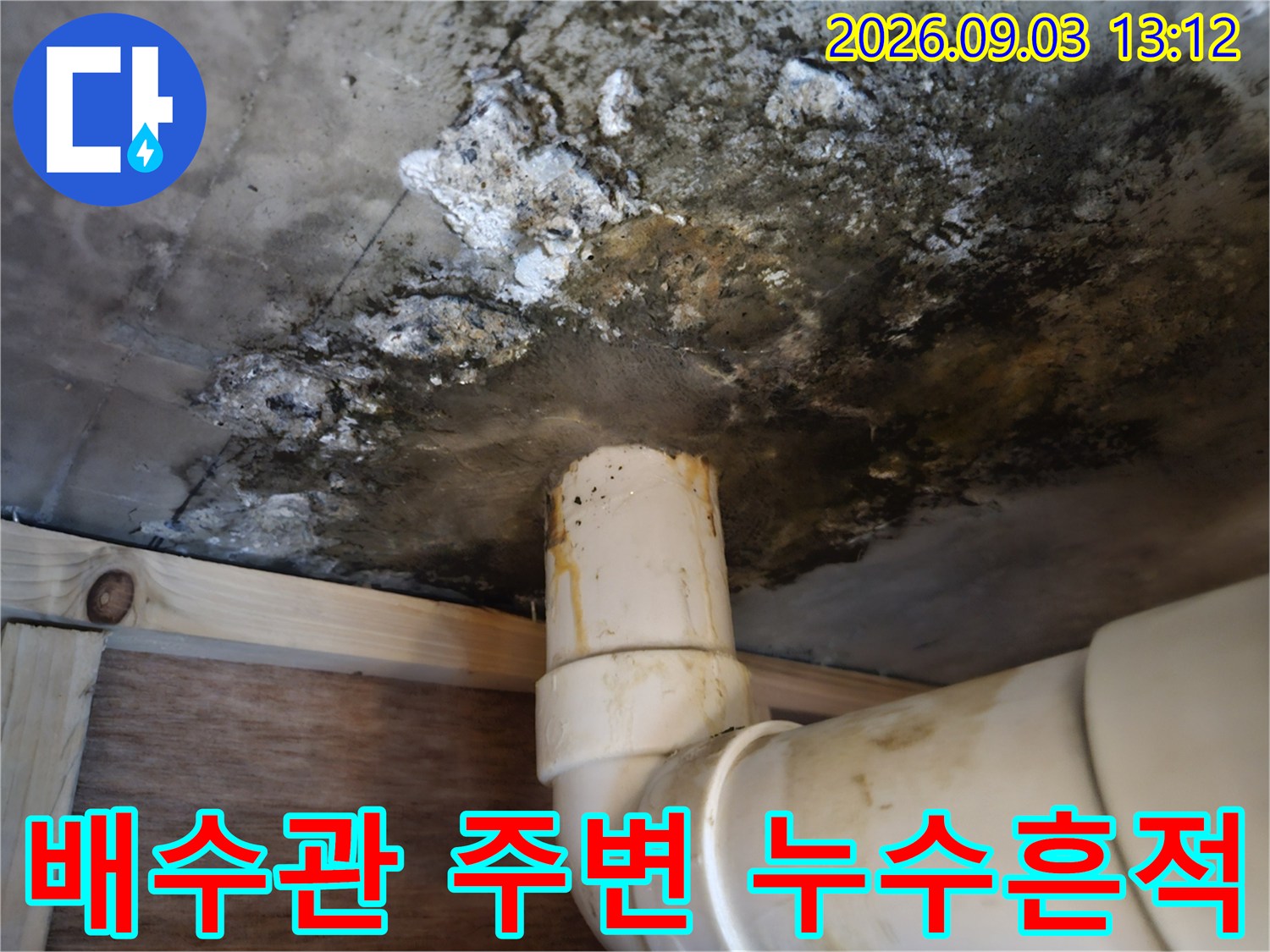 배수 파이프-주변 천장 슬라브의 심한 곰팡이와 오염