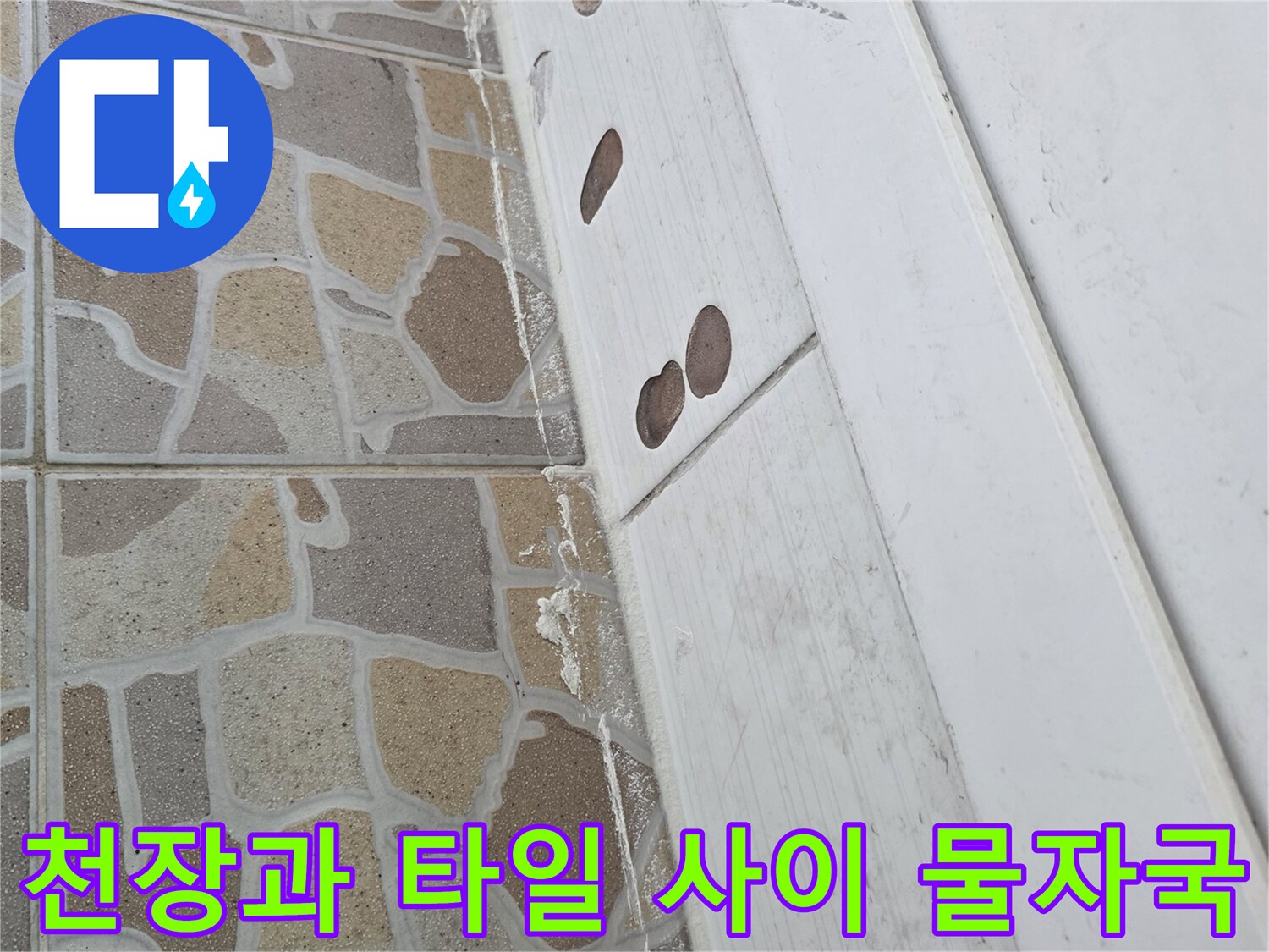 하얀 천장재-타일 벽 경계의 습기 침투 흔적
