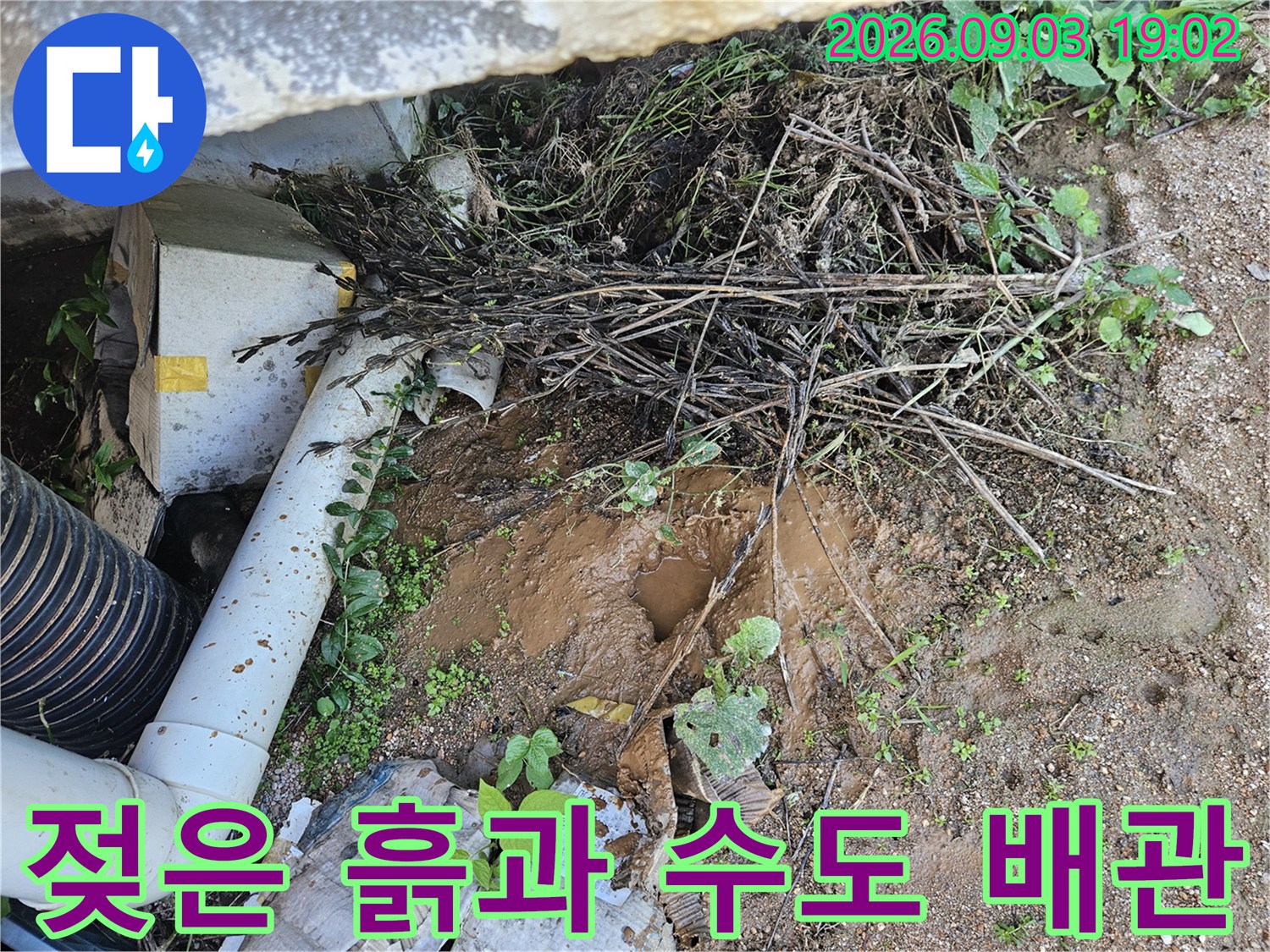 백암면 누수 현장-물기가 머금어진 흙과 노출된 배관 부속