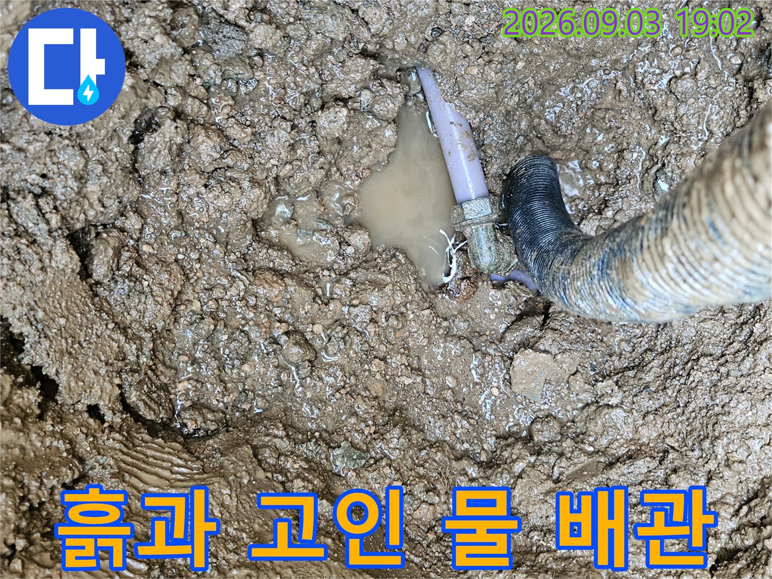 백암면 누수 현장-파손된 배관 연결부 주변의 물 고임