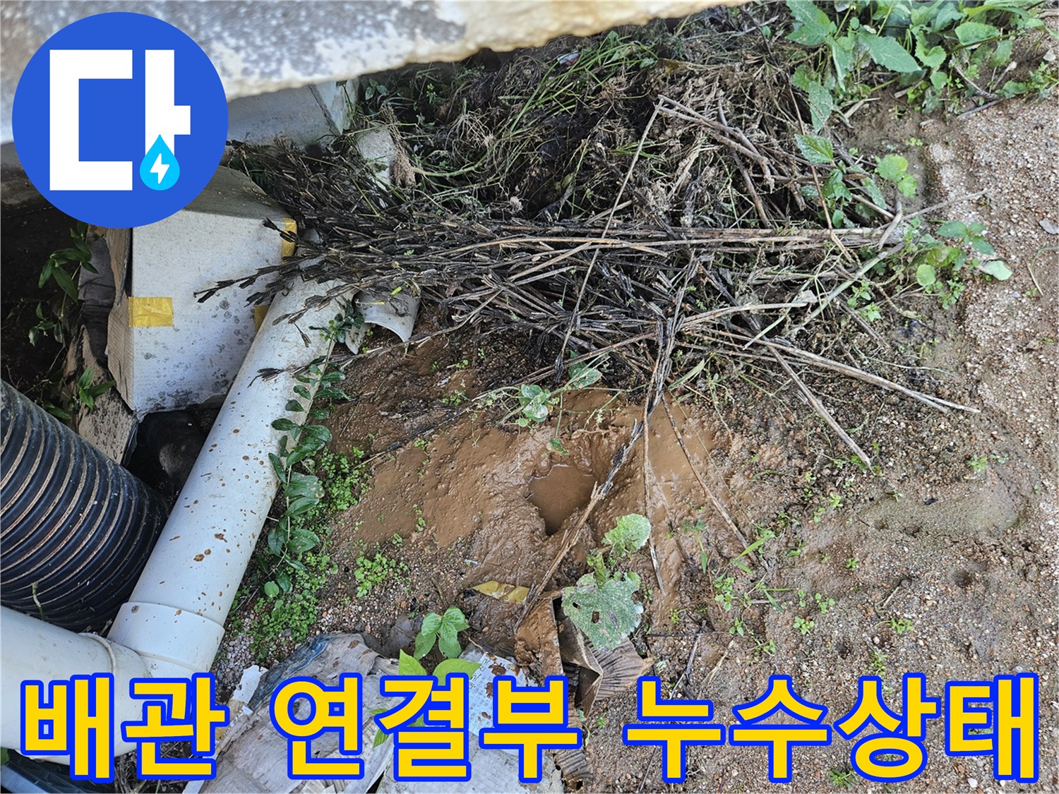 용인 처인구 현장-물이 새고 있는 수도 배관 부위