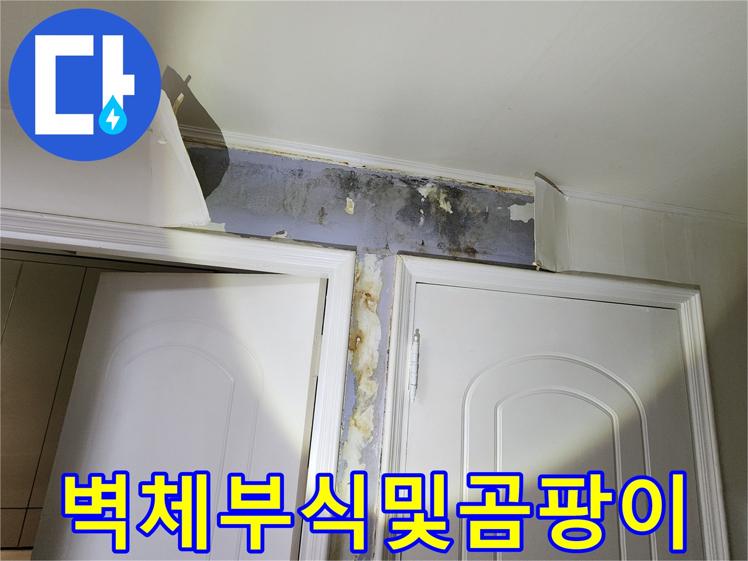 은평구 신사동 현장 - 젖은 벽면과 곰팡이가 발생한 문틀 상단 부위