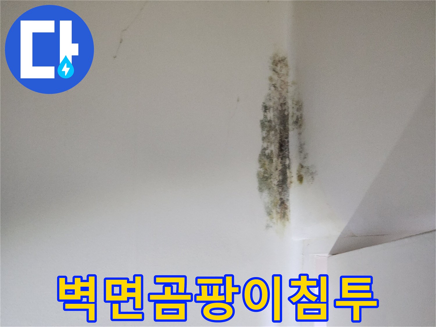 화장실-벽면-모서리-곰팡이-번짐-사진