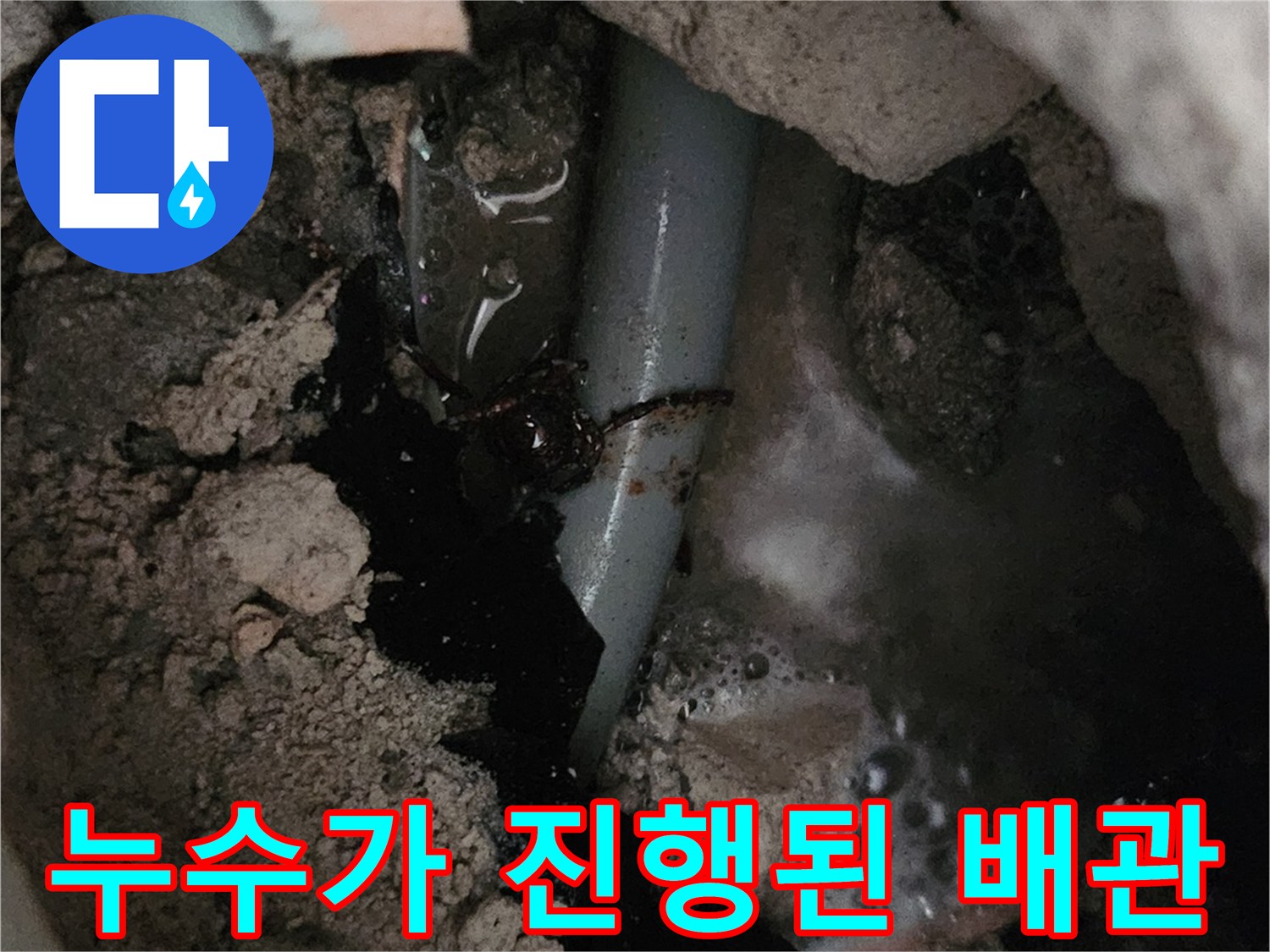 처인구 양지읍-습기를 머금은 채 드러난 온수 배층 부위