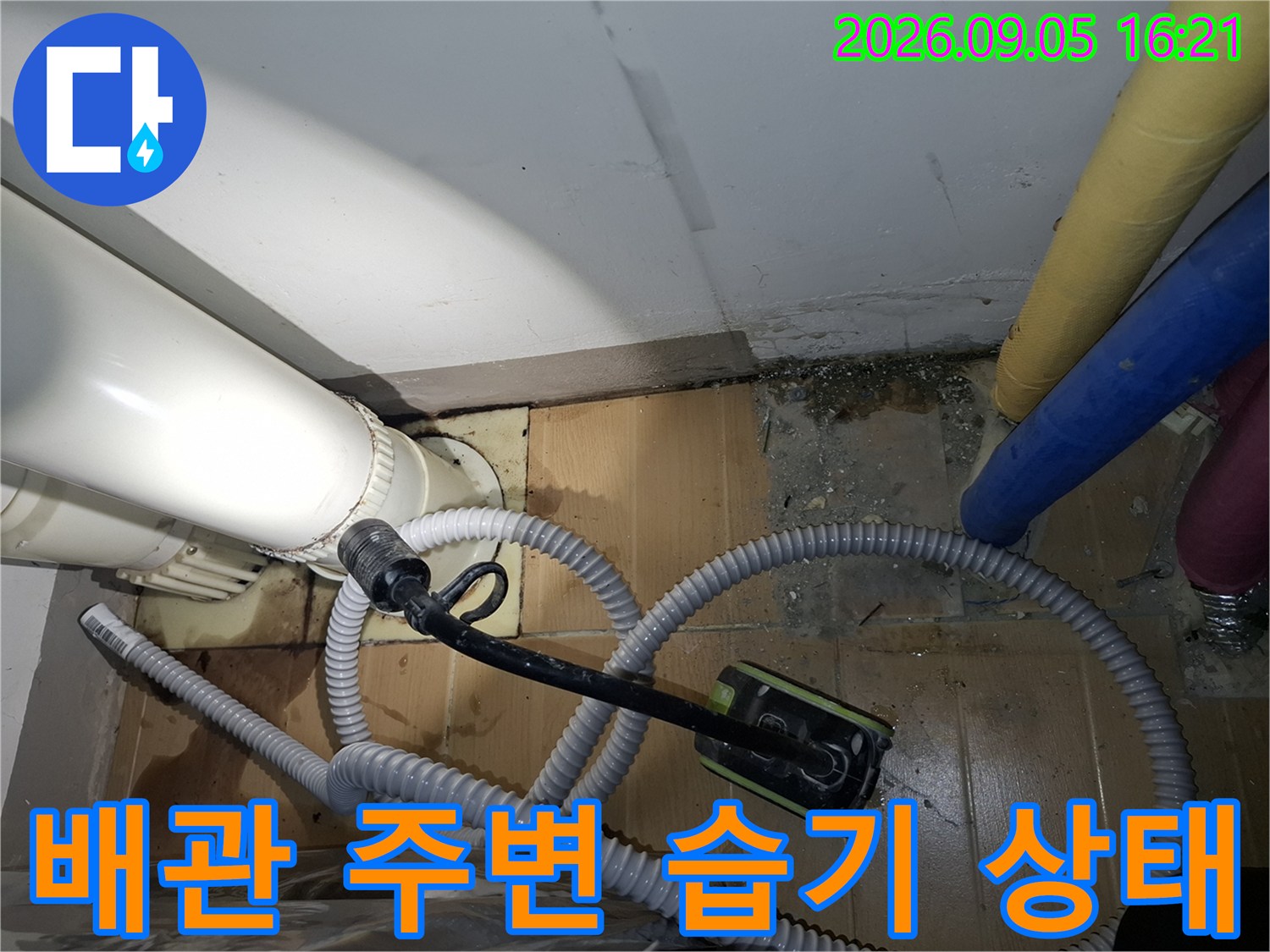 배관 하단의 타일 틈새와 주변의 어두운 습기 자국을 촬영한 사진입니다.