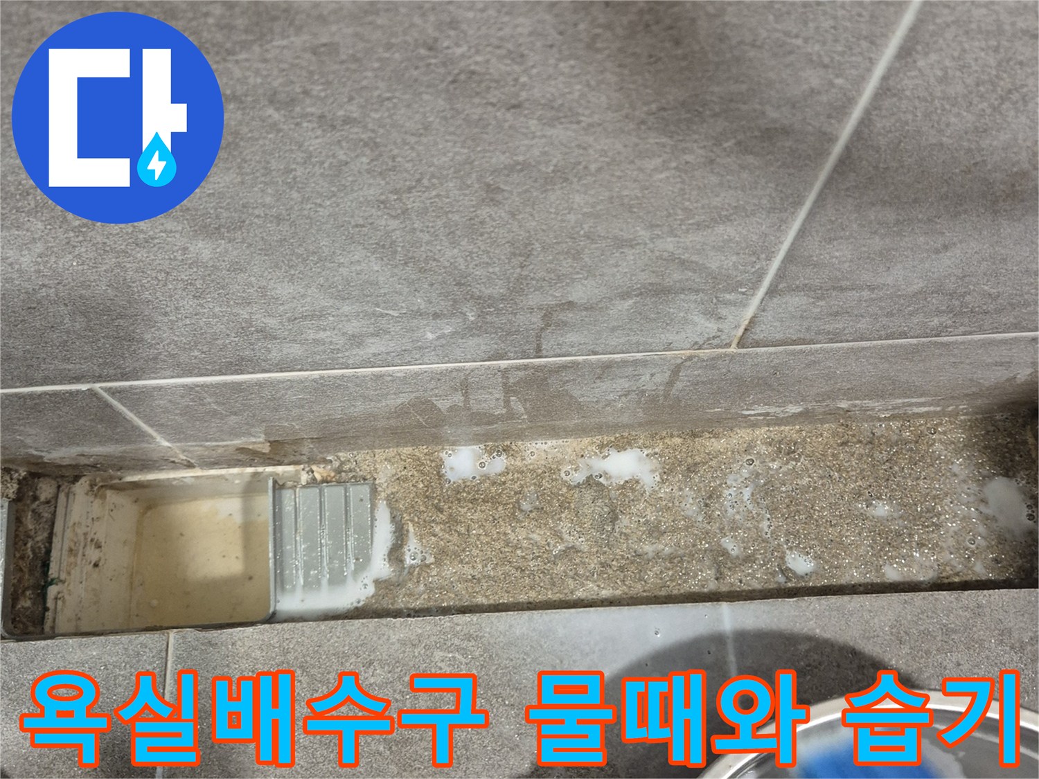 과천 중앙동 화장실-배수구 주변 타일의 젖은 상태와 오염 확인