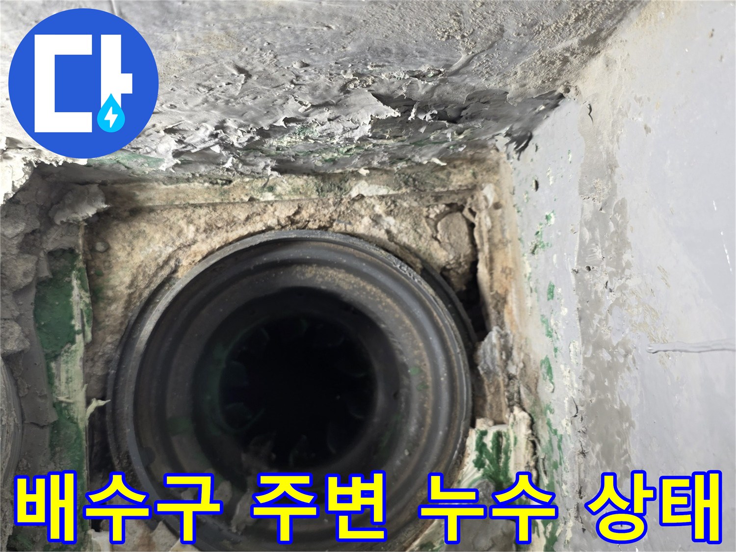 부평구-베란다-배수관-주변-습기-및-오염-상태