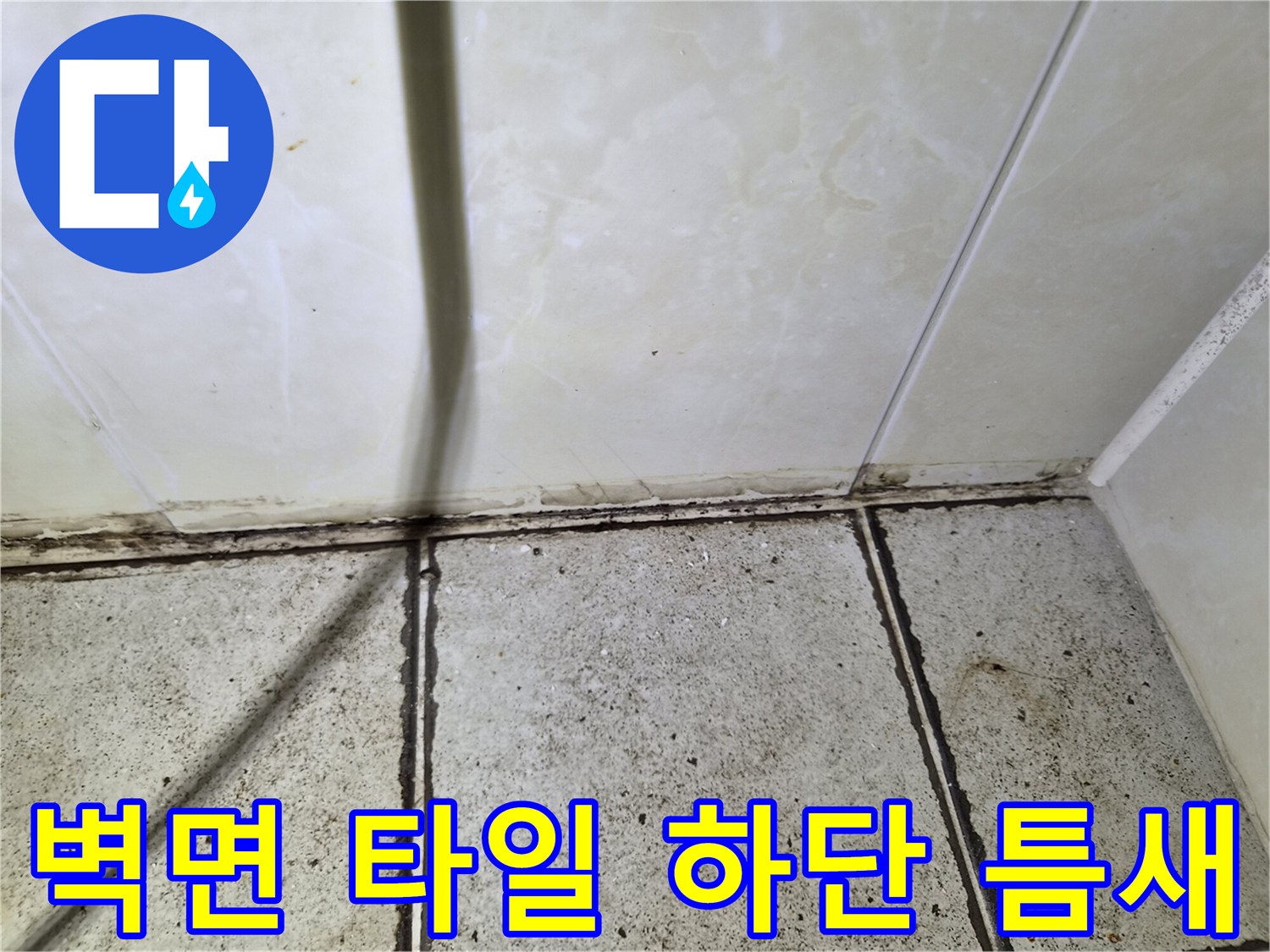 벽체-타일과-바닥-타일의-경계-부위-확대