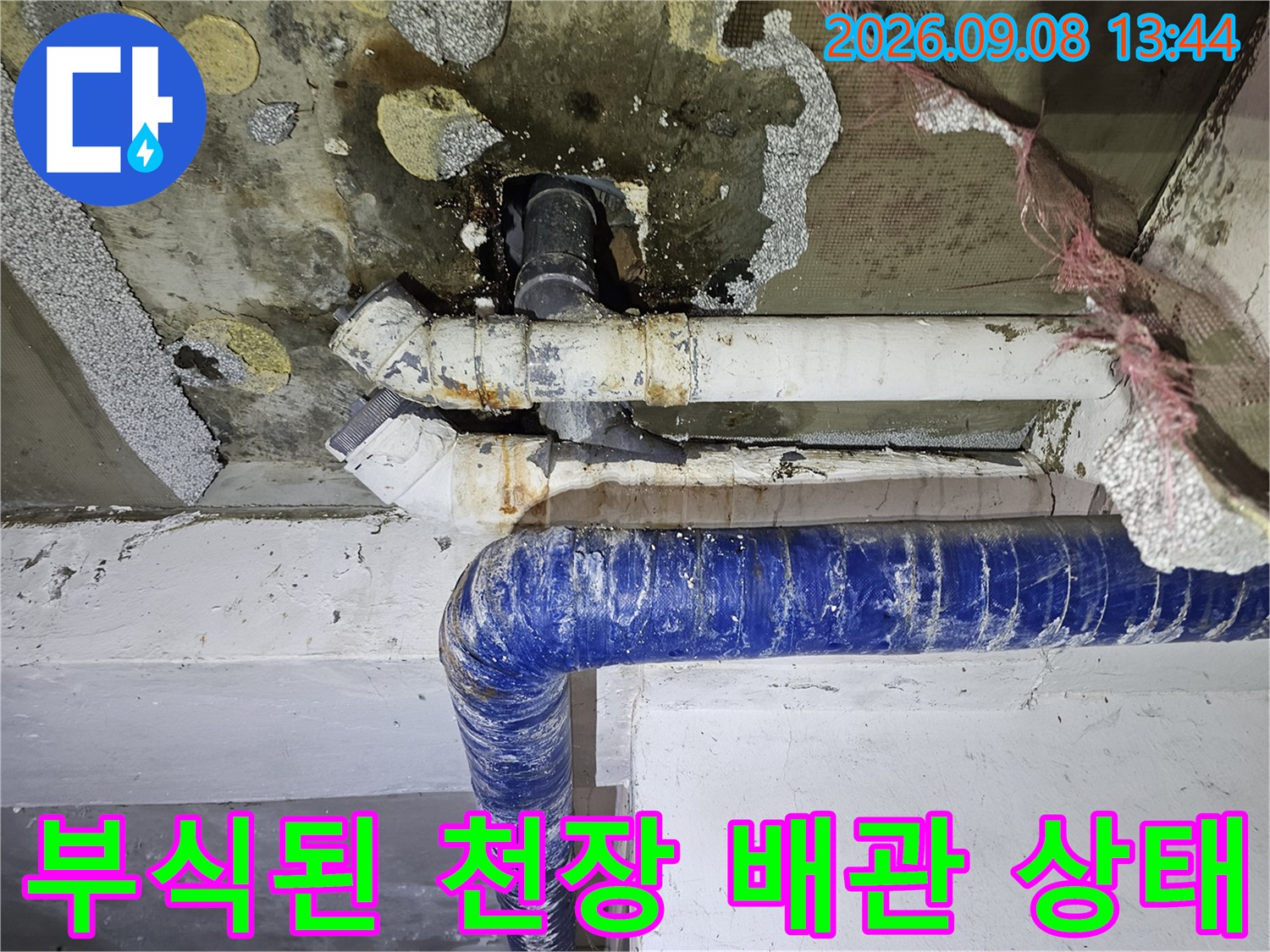 곰팡이와 얼룩이 심한 천장 배관 연결 부위