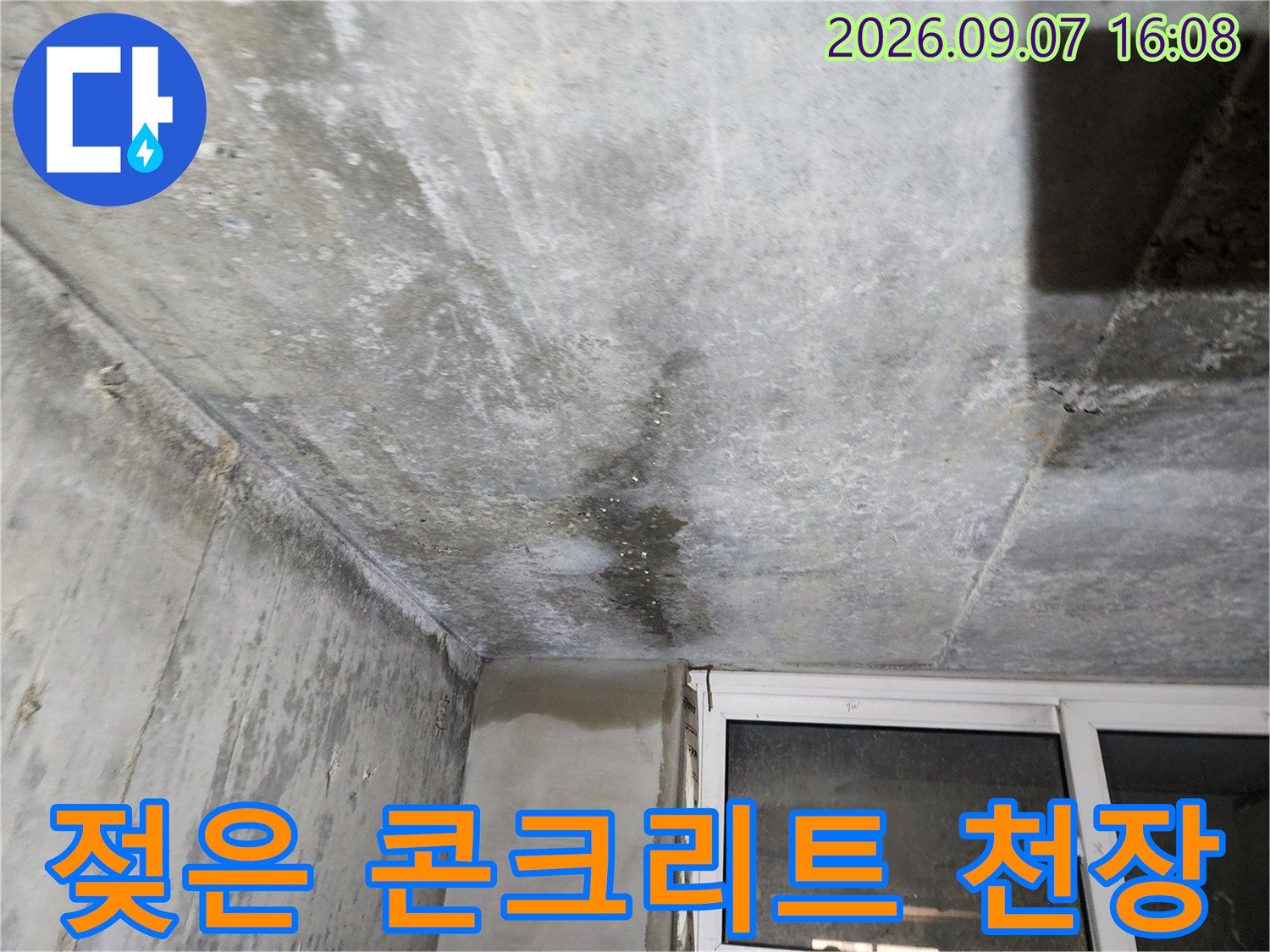 물기가 스며들어 어둡게 변한 지하층 천장 콘크리트 면입니다.