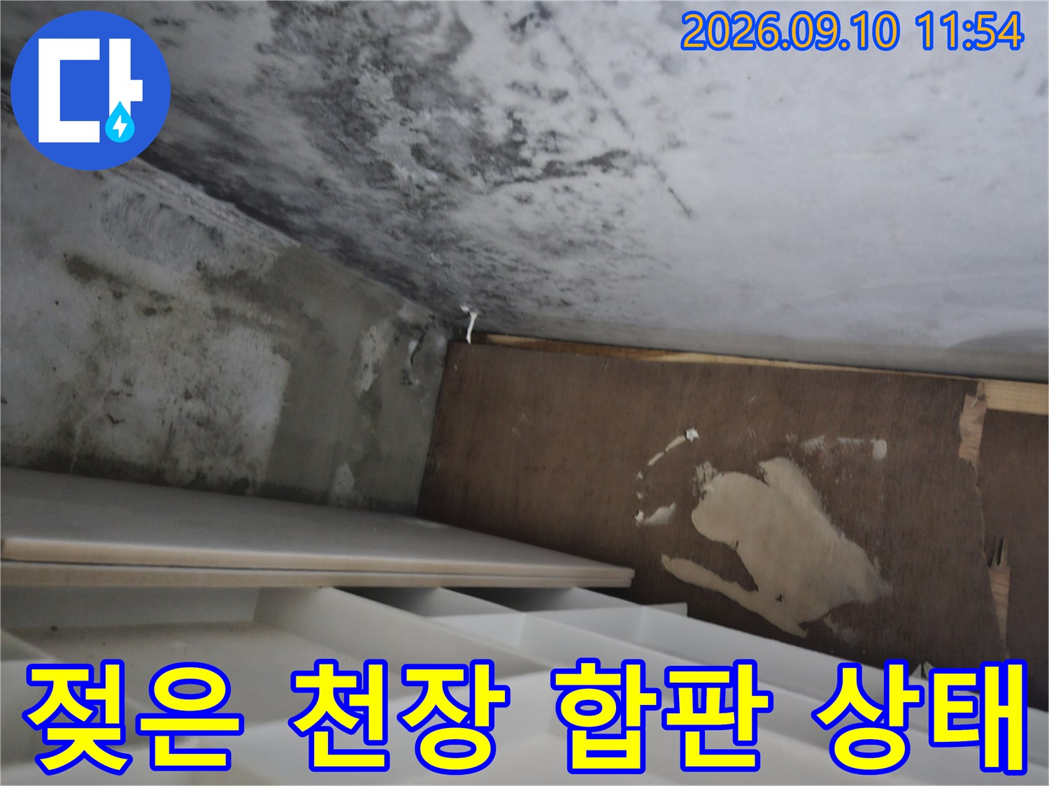 습기로서-변색된 천장 합판과 콘크리트 벽면