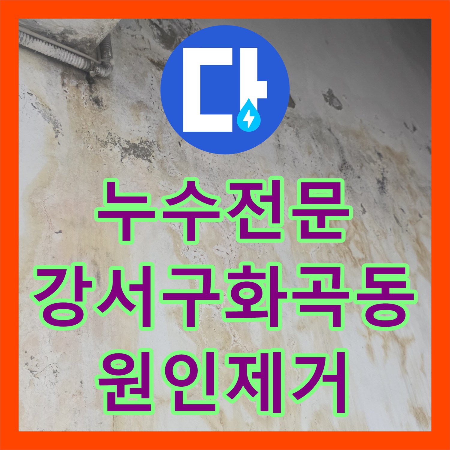 누수전문 하수 배관 결함으로 인한 지하 천장 물샘 문제를 해결한 서울 강서구 화곡동