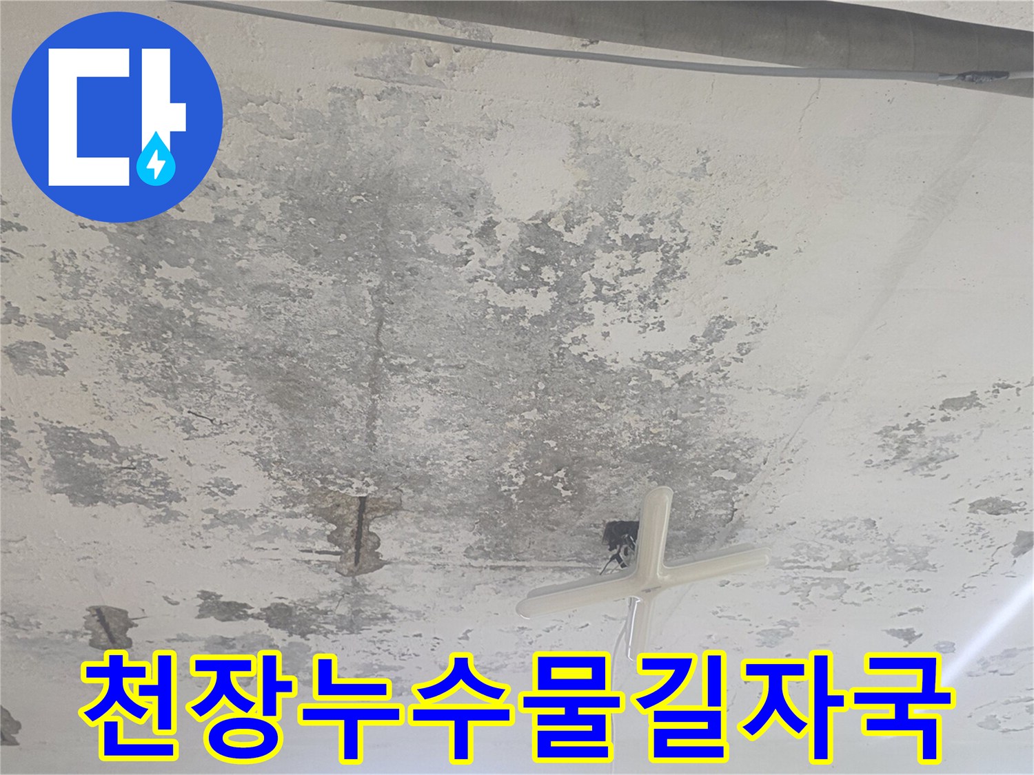 지하-계단-천장-구석의-넓은-누수-흔적과-배관-주변-상태