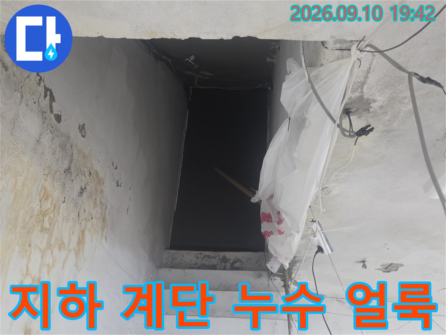 지하 계단 천장에서 발견된 누수 및 오염 흔적