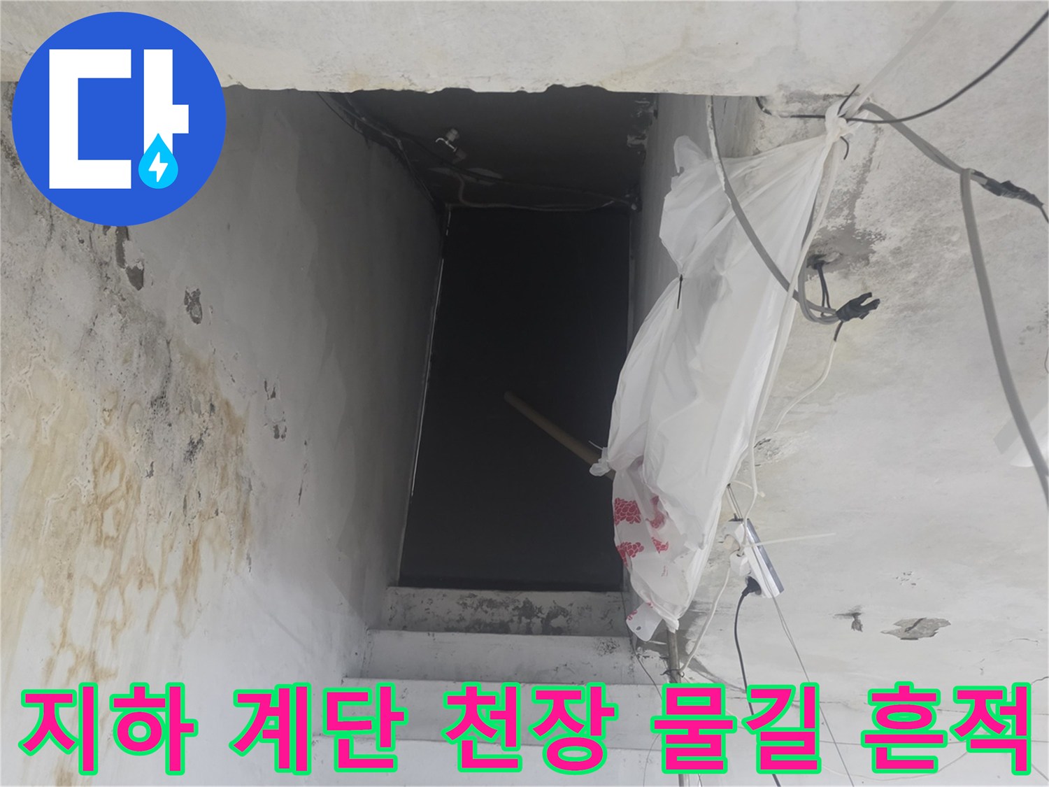 화곡동 지하 계단실의 젖은 천장과 물이 흐른 자국