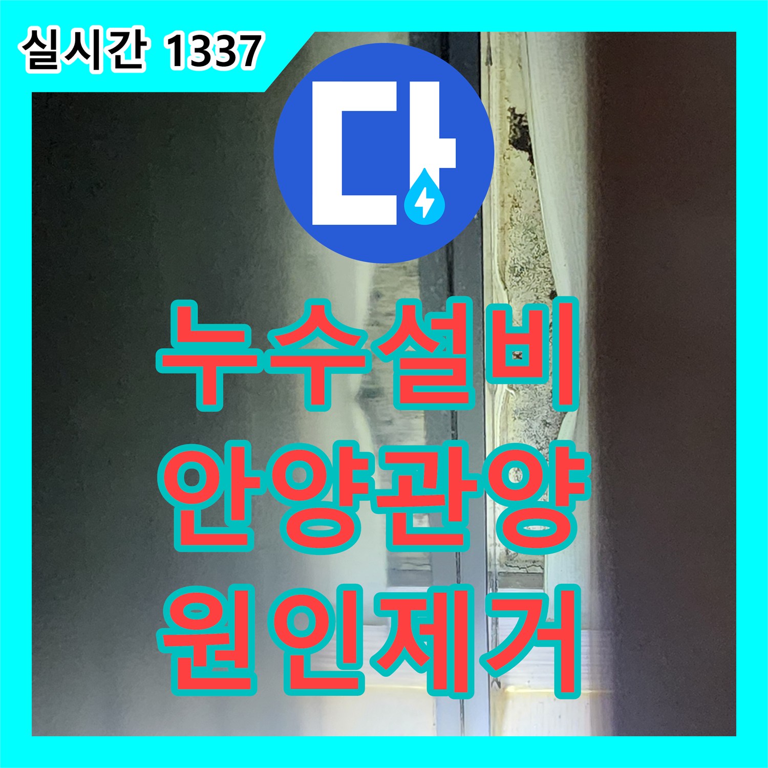 누수설비 관점에서 분석한 재발성 샤워실 누수 및 방 내부 습기 문제 해결 사례 경기 안양시 동안구 관양동