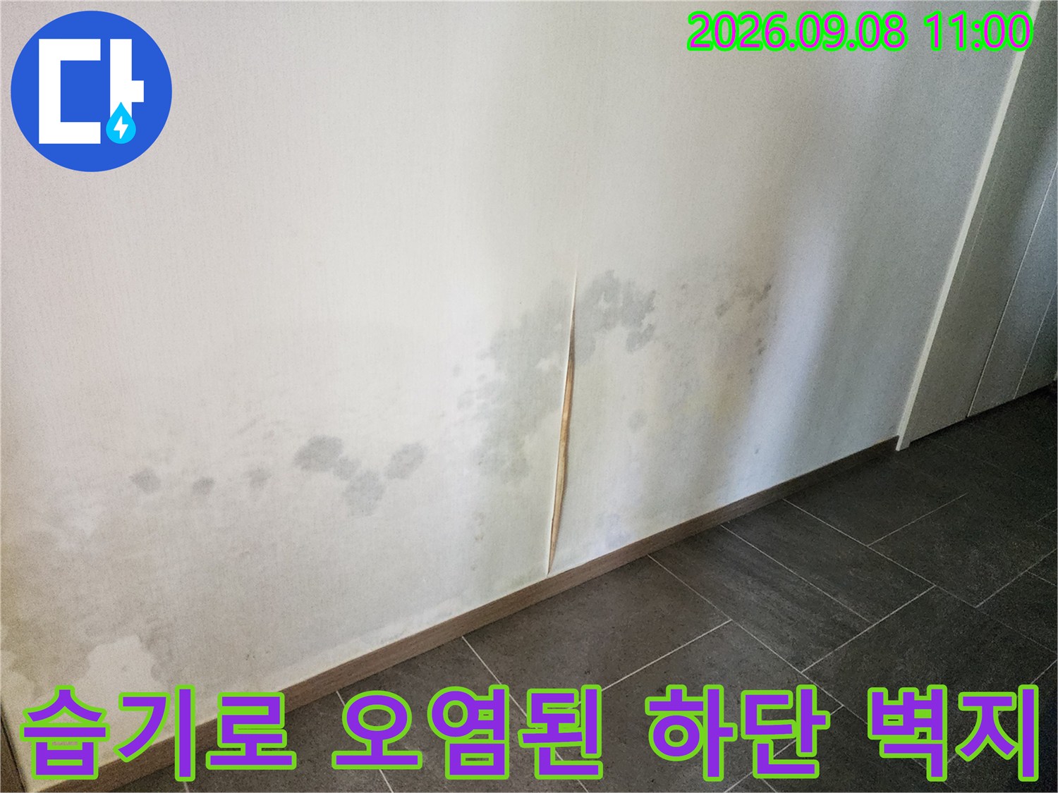 벽면 아래쪽의-심한 곰팡이와 물자국을 촬영한 사진입니다