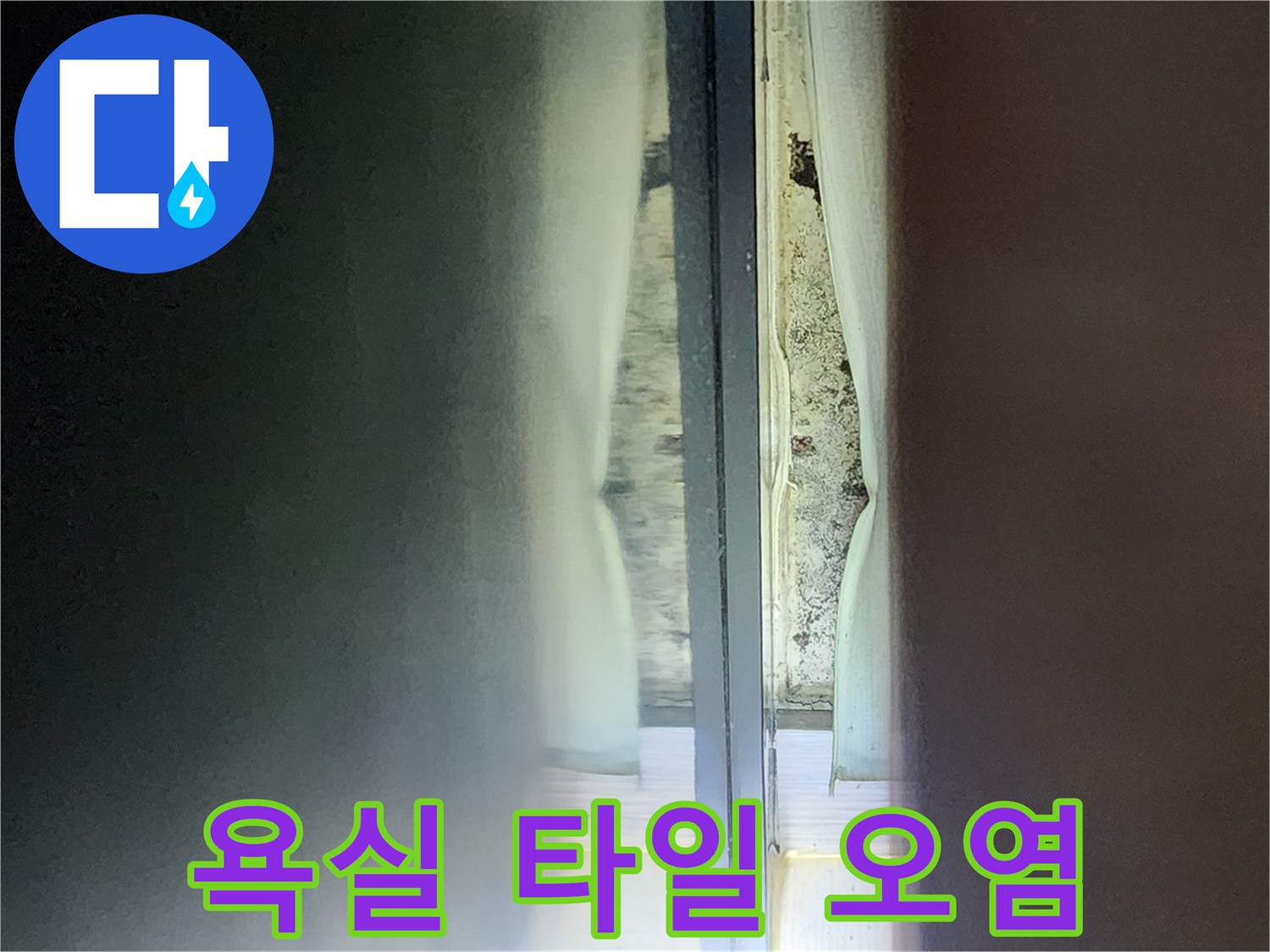 샤워부스 내부 - 물때와 곰팡이가 섞인 타일 사이