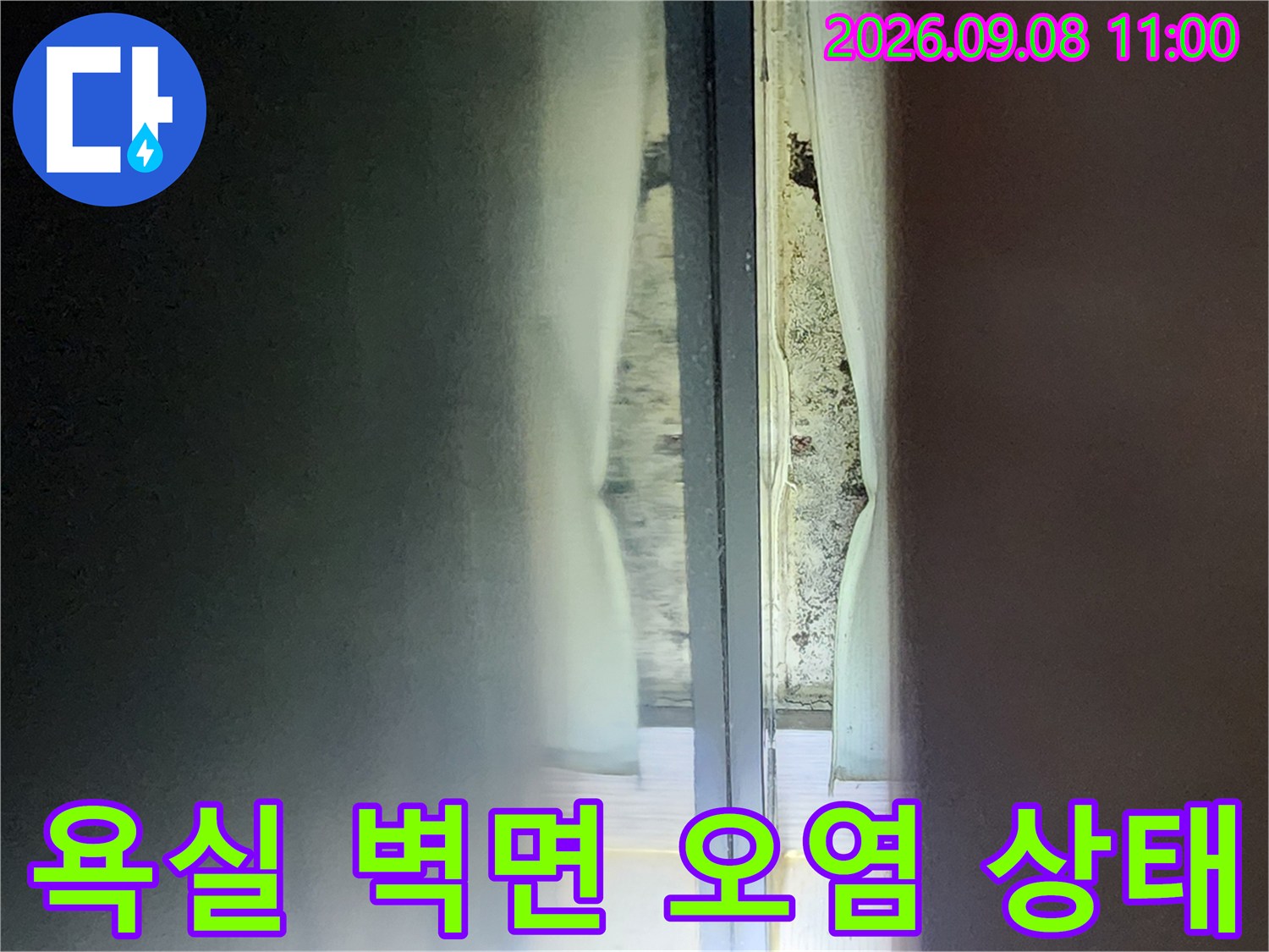 안양 관양동 현장-욕실 벽면의 심한 오염과 곰팡이 흔적