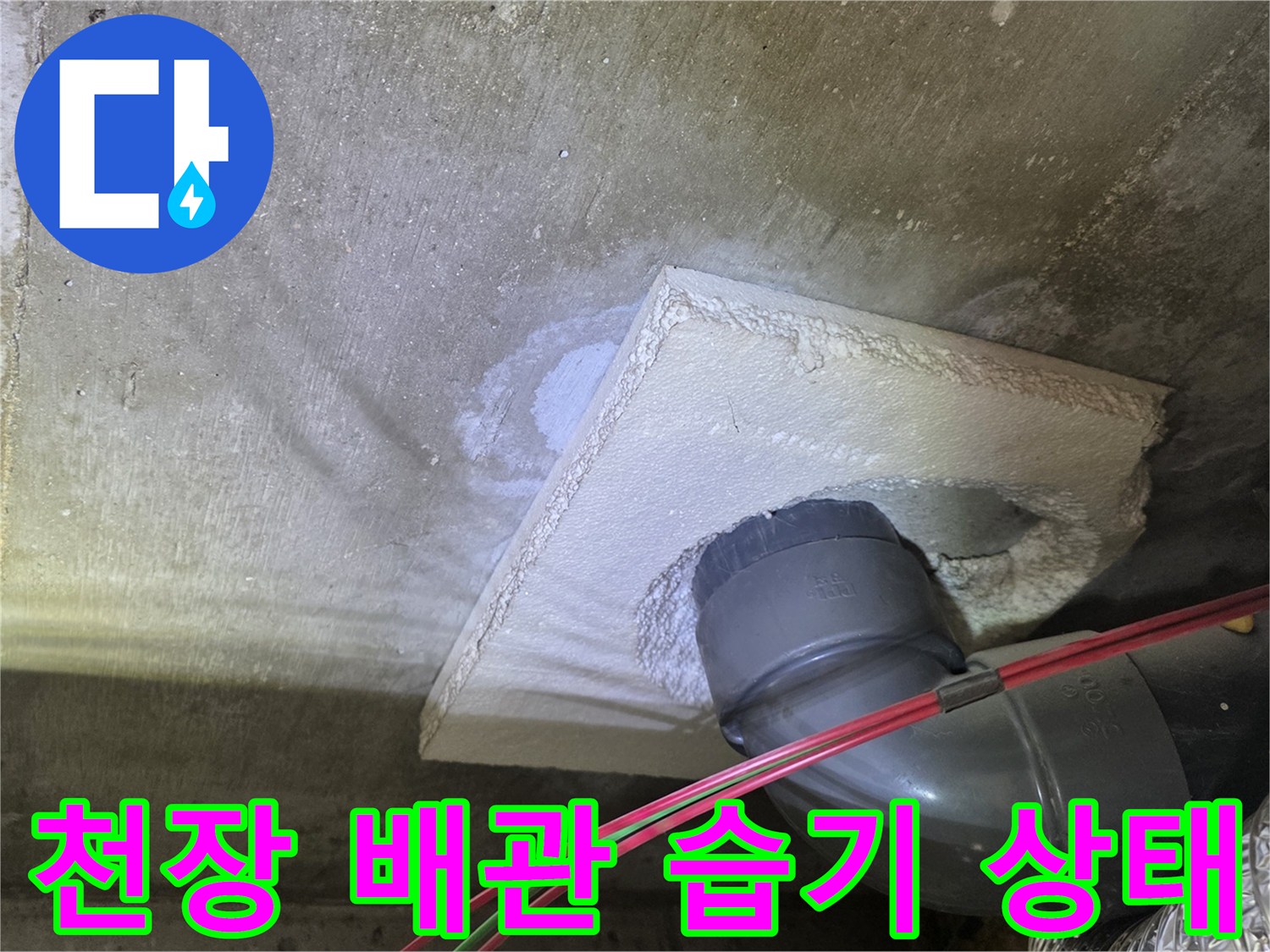 배관 접합부 주변의 젖은 천장 슬라브 모습