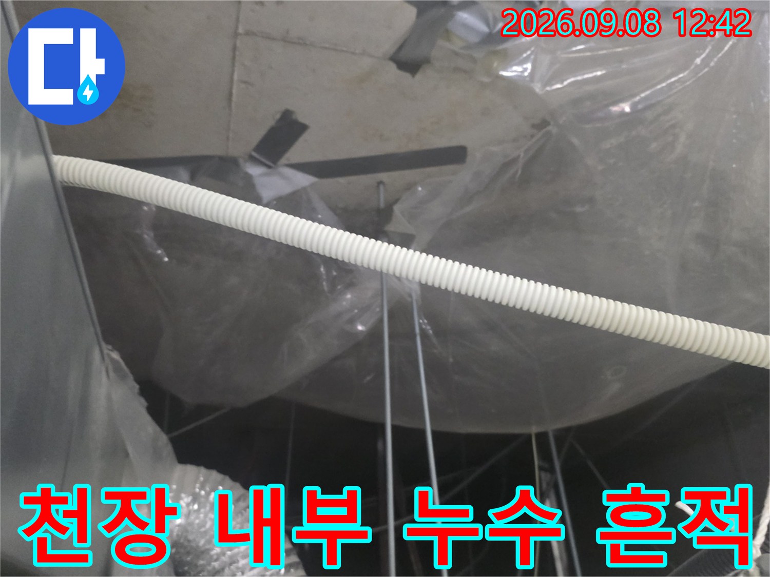 비닐로 보양된 천장 구조물과 배관 주변의 습기 상태