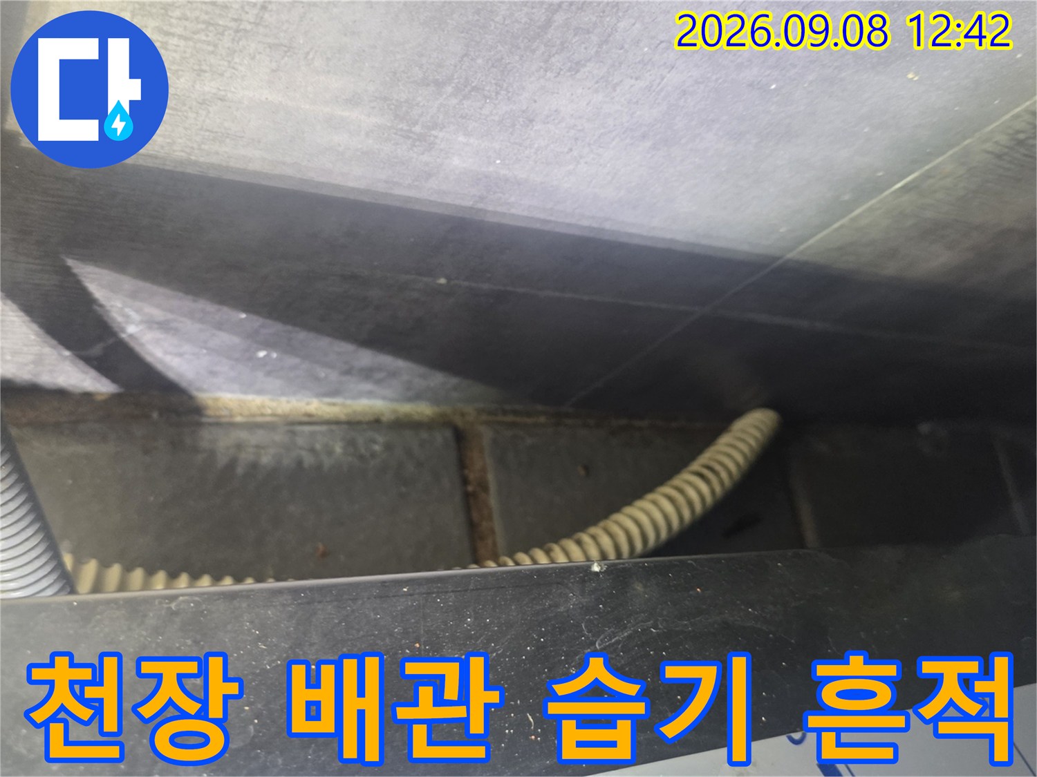 천장 내부 배수 호스의 젖은 부위와 오염된 슬라브