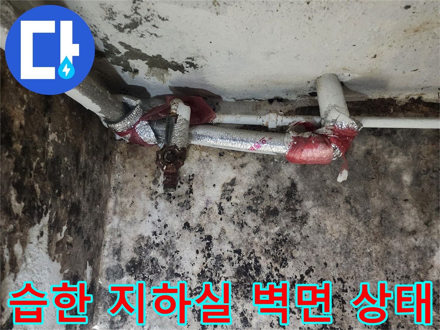 곰팡이가 가득한 지하실 벽면과 수도 배관 연결 부위