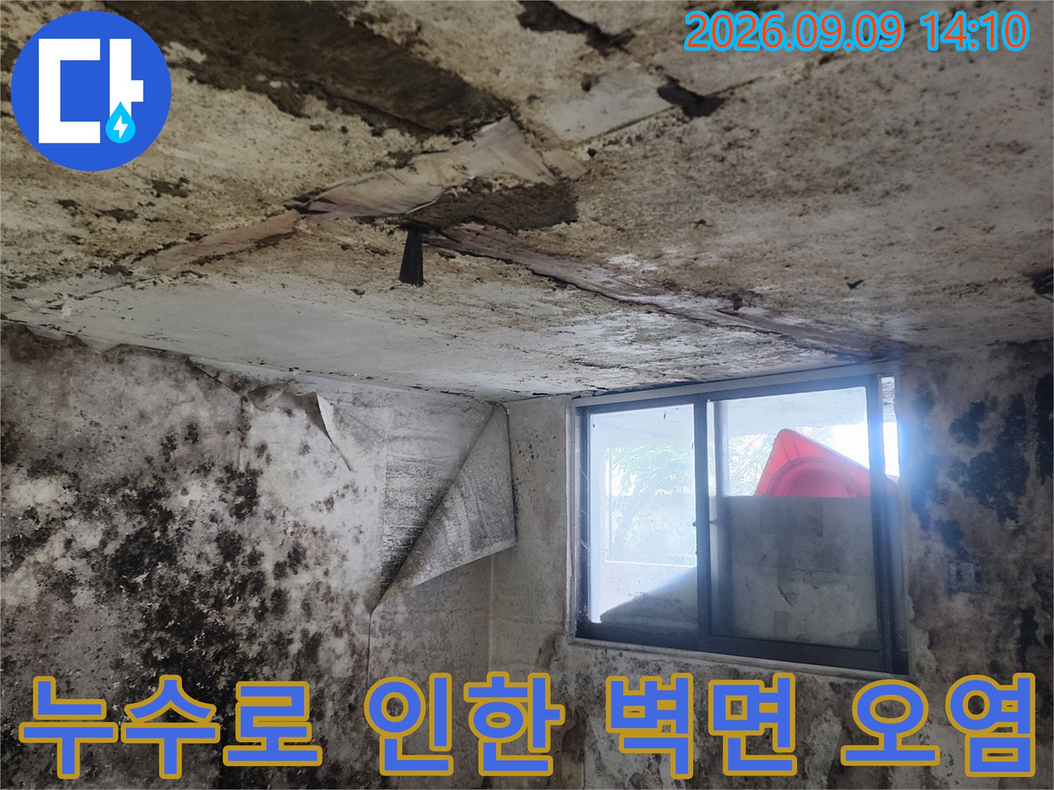 곰팡이와 습기로 오염된 지하실 내부 벽면 사진