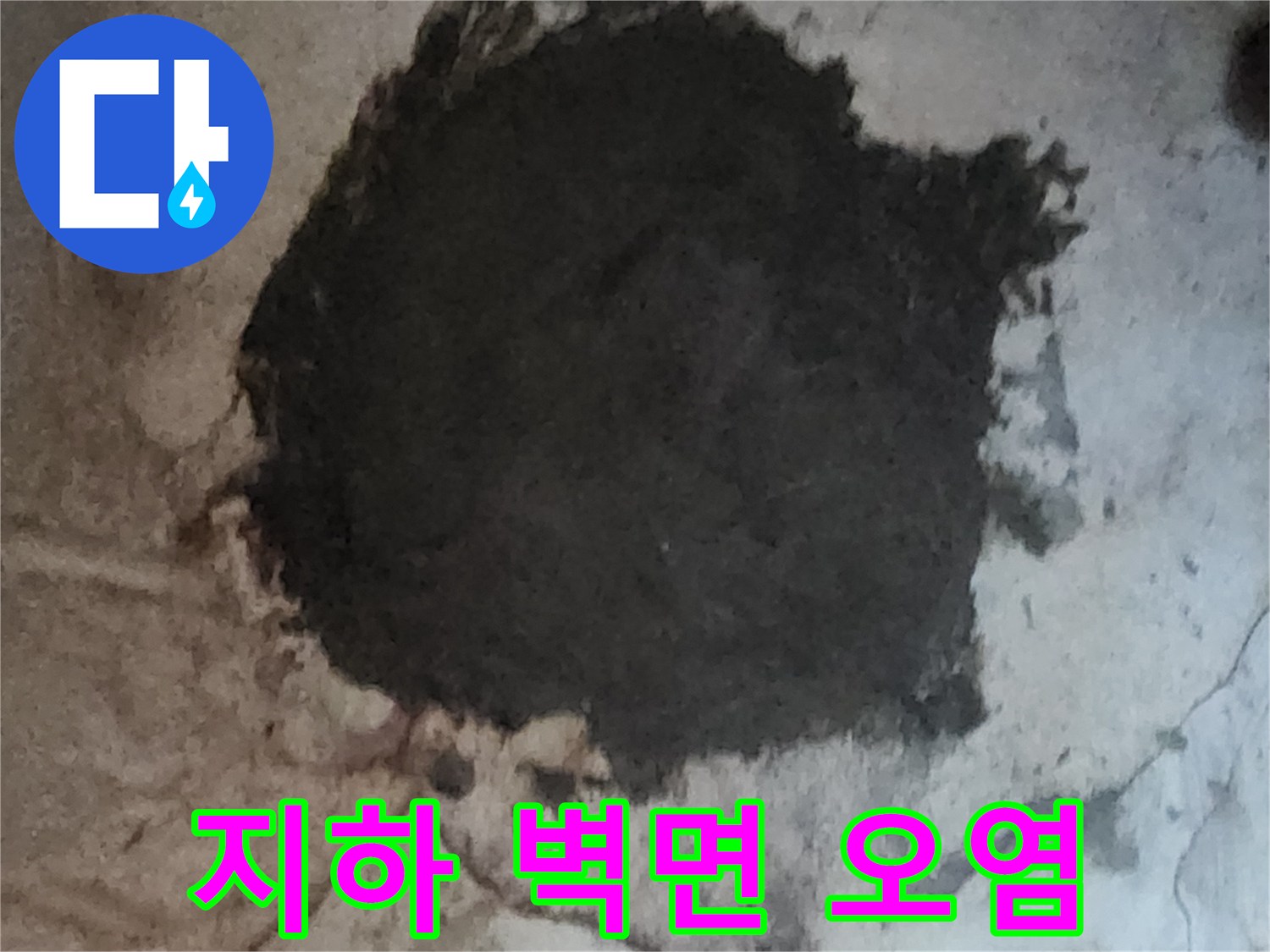 누수로 인한 곰팡이와 습기가 관찰되는 지하 벽면