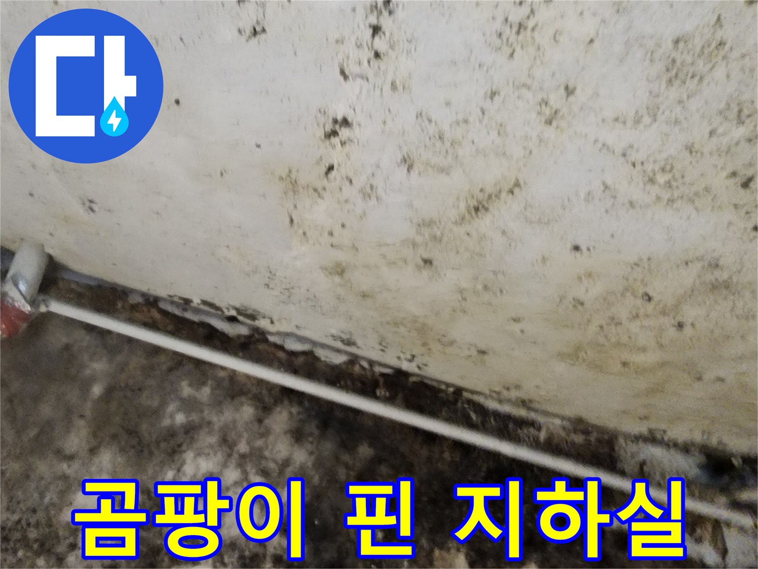 누수로 인한 벽면 오염 - 곰팡이가 번진 지하실 내부 모습