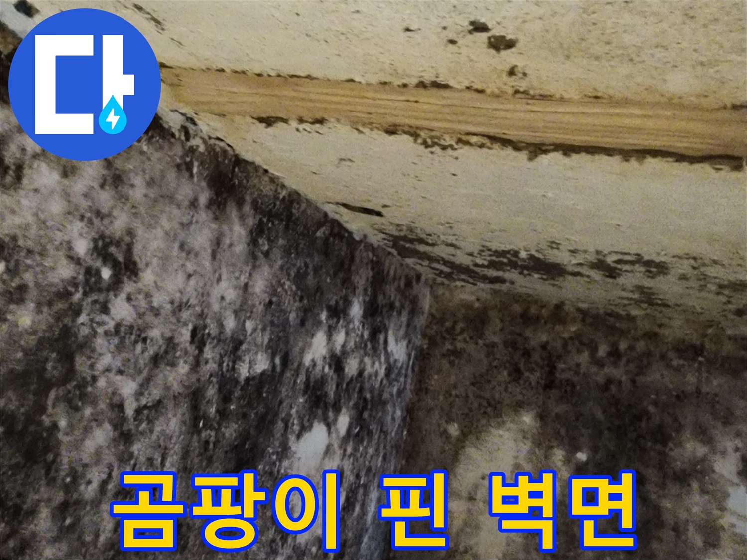 습기 가득한-지하 벽면의 곰팡이 오염 부위