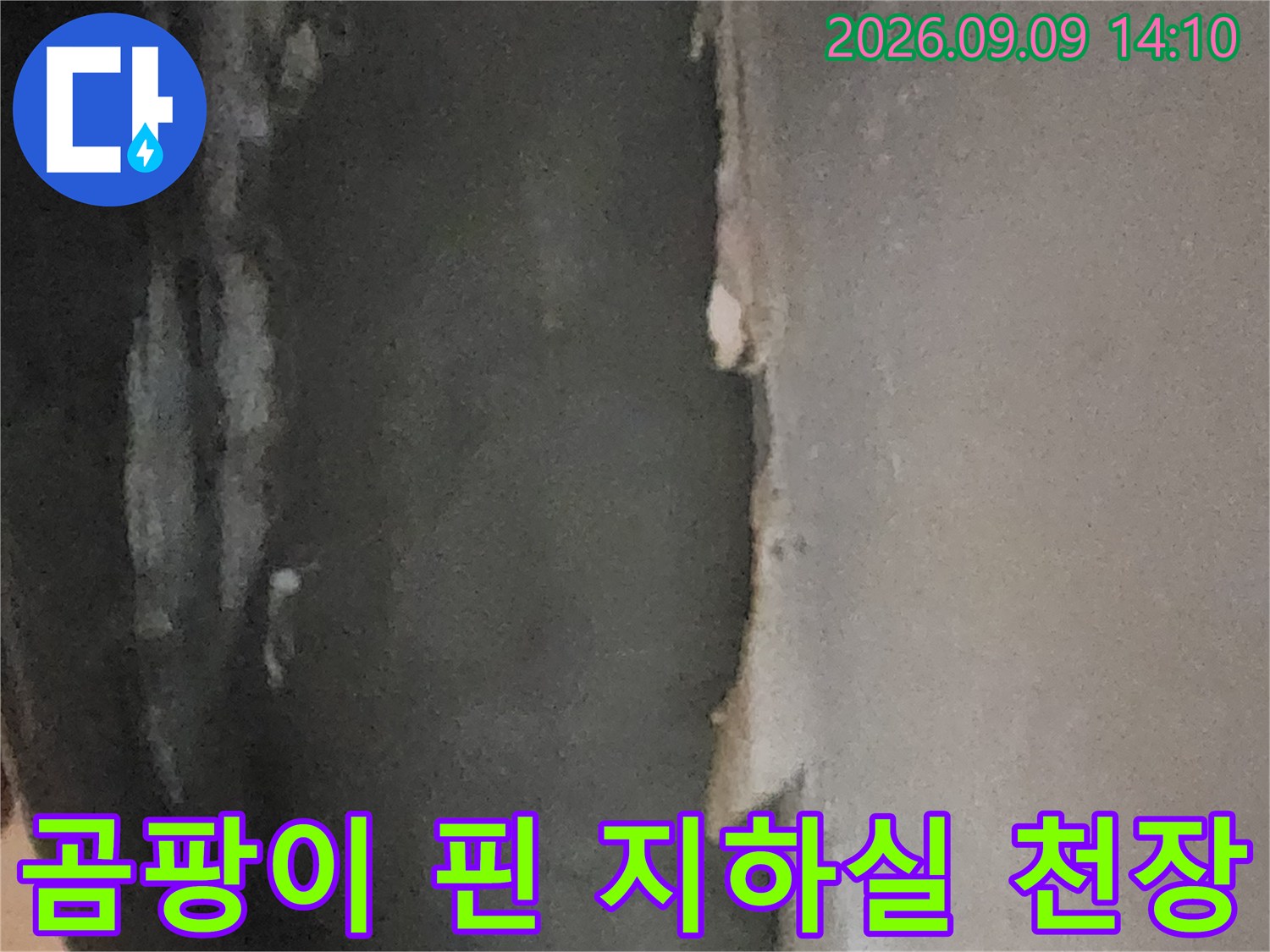 심한 누수 흔적과 곰팡이가 발생한 지하 천장 마감재