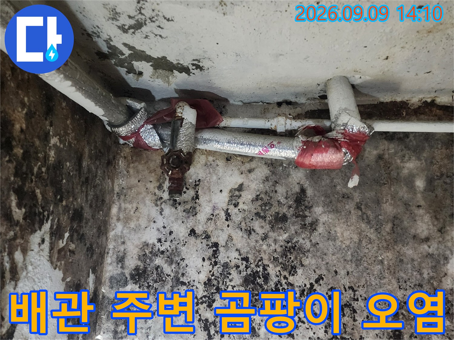 지하 벽면의 곰팡이 침투-노출된 금속 배관 부위