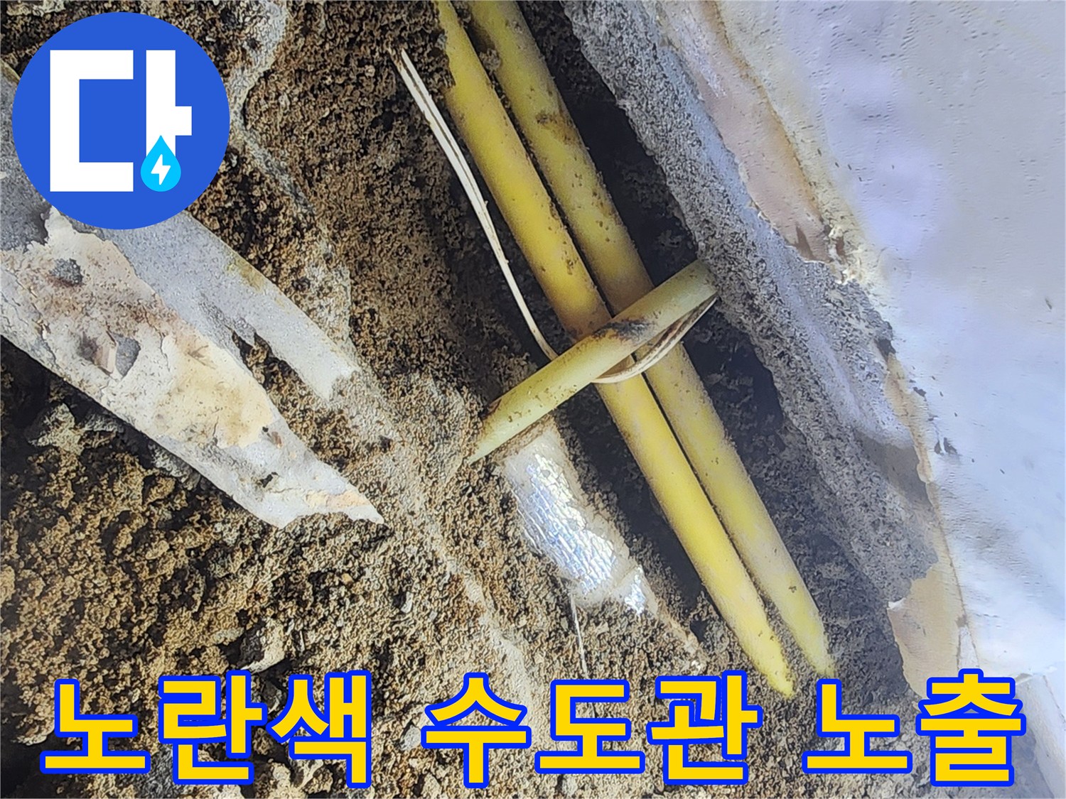 흙을 파내어 드러난 노란색 PE 배관과 주변 토사