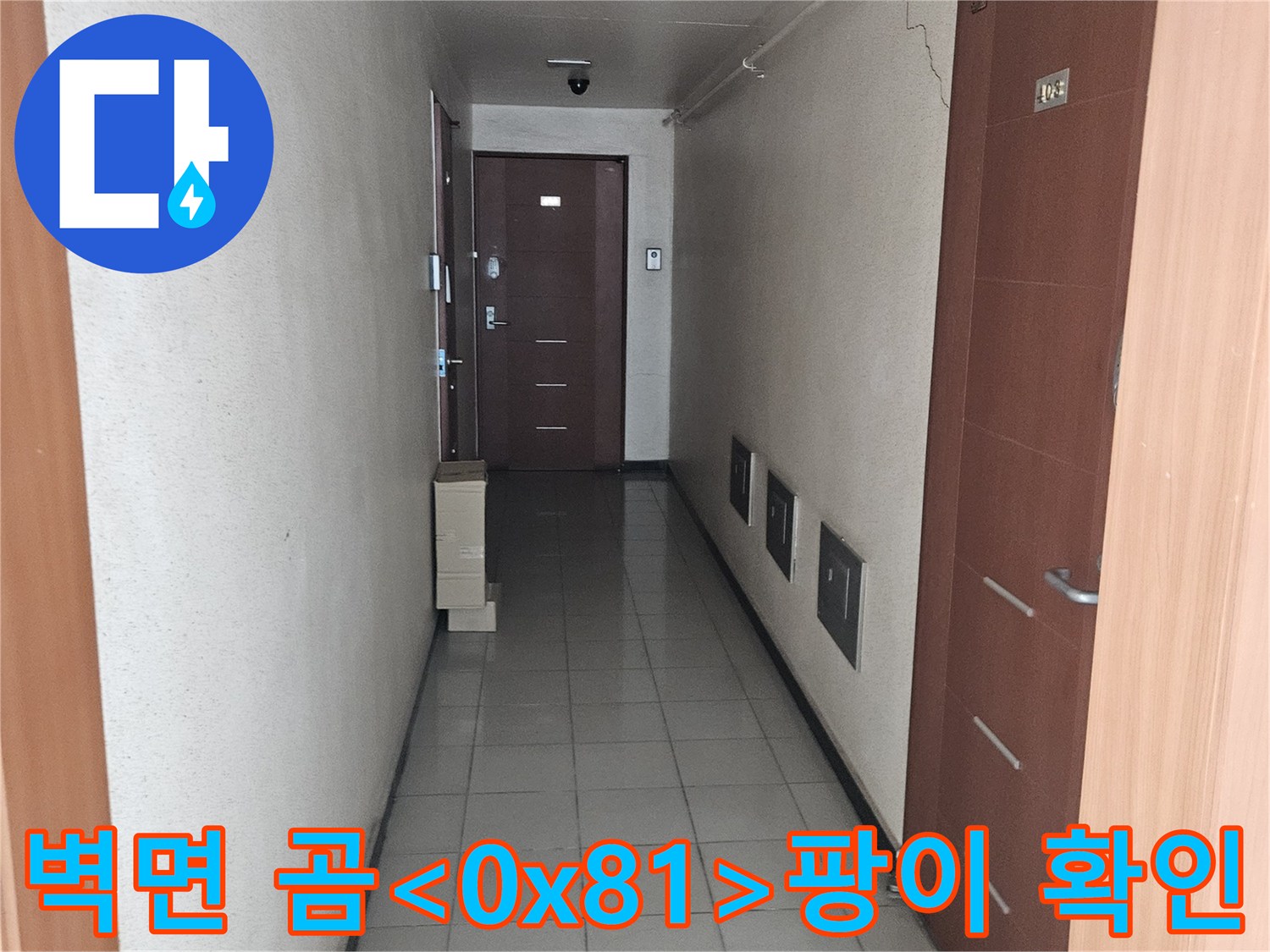 석촌동 현장의 습기 찬 벽면-누수 흔적이 남은 내부 공간
