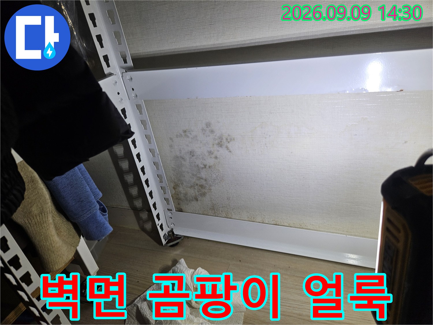 석촌동 현장의 습기 찬 벽지와 곰팡이 발생 부위