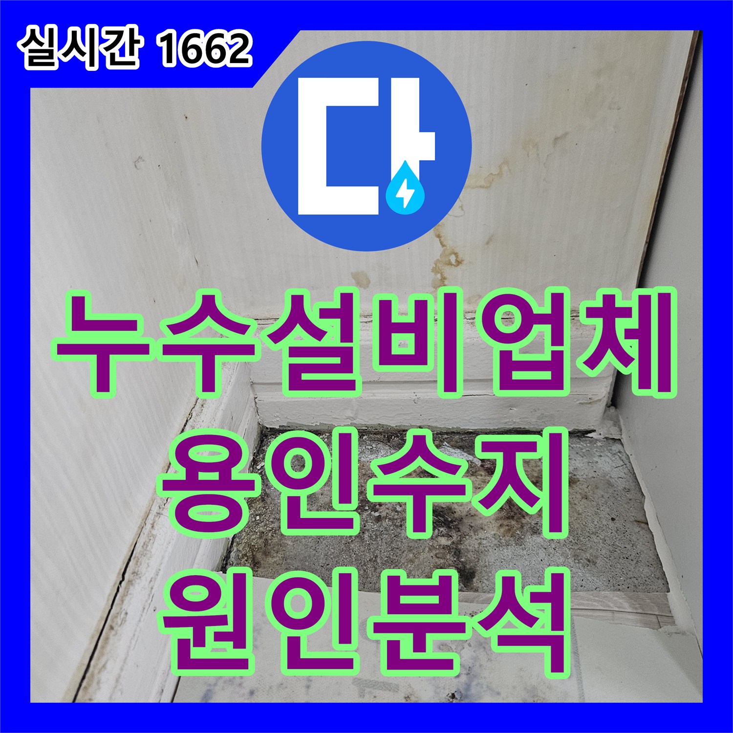 누수설비업체 아랫집 거실 및 현관 대리석 침수 피해 원인 분석과 소견서 발행 경기 용인시 수지구 죽전동