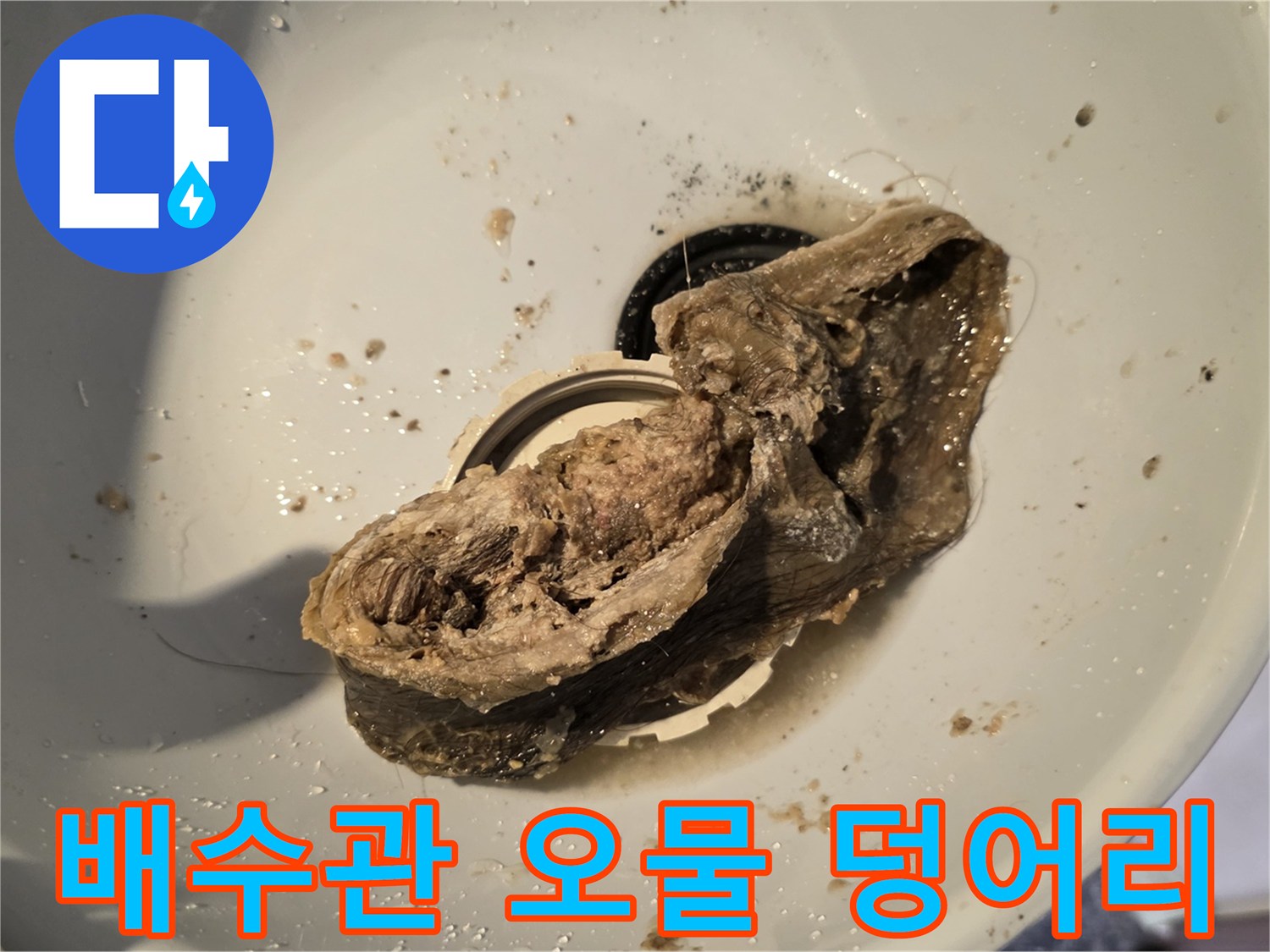 하수구-배관에서-추출된-머리카락-오염물질