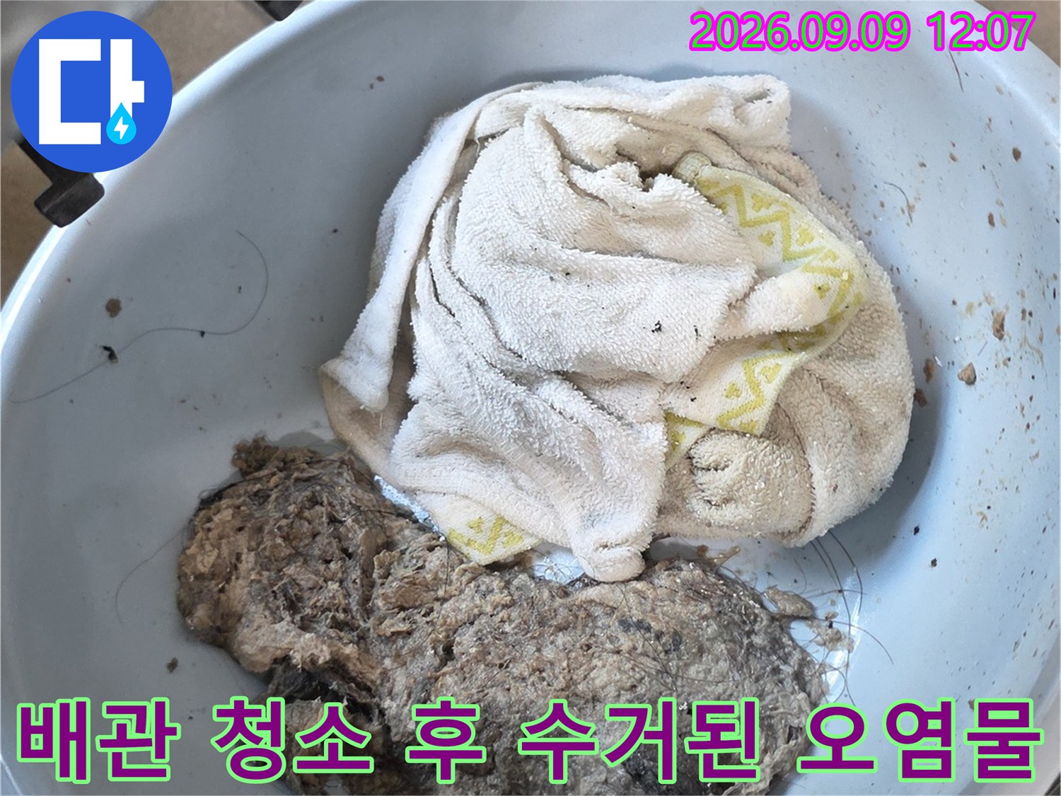 하수구 배관에서 추출한 머리카락과 슬러지 덩어리 모음