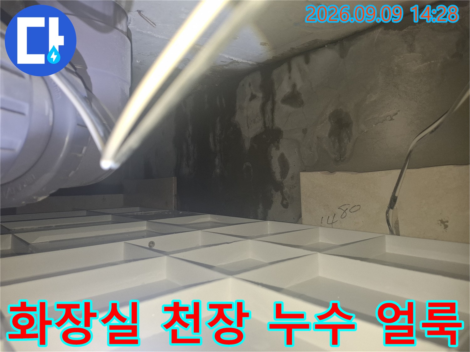 양주 삼숭동 화장실 천장 내부의 배관 주변에 발생한 검은 곰팡이와 물 얼룩 상태