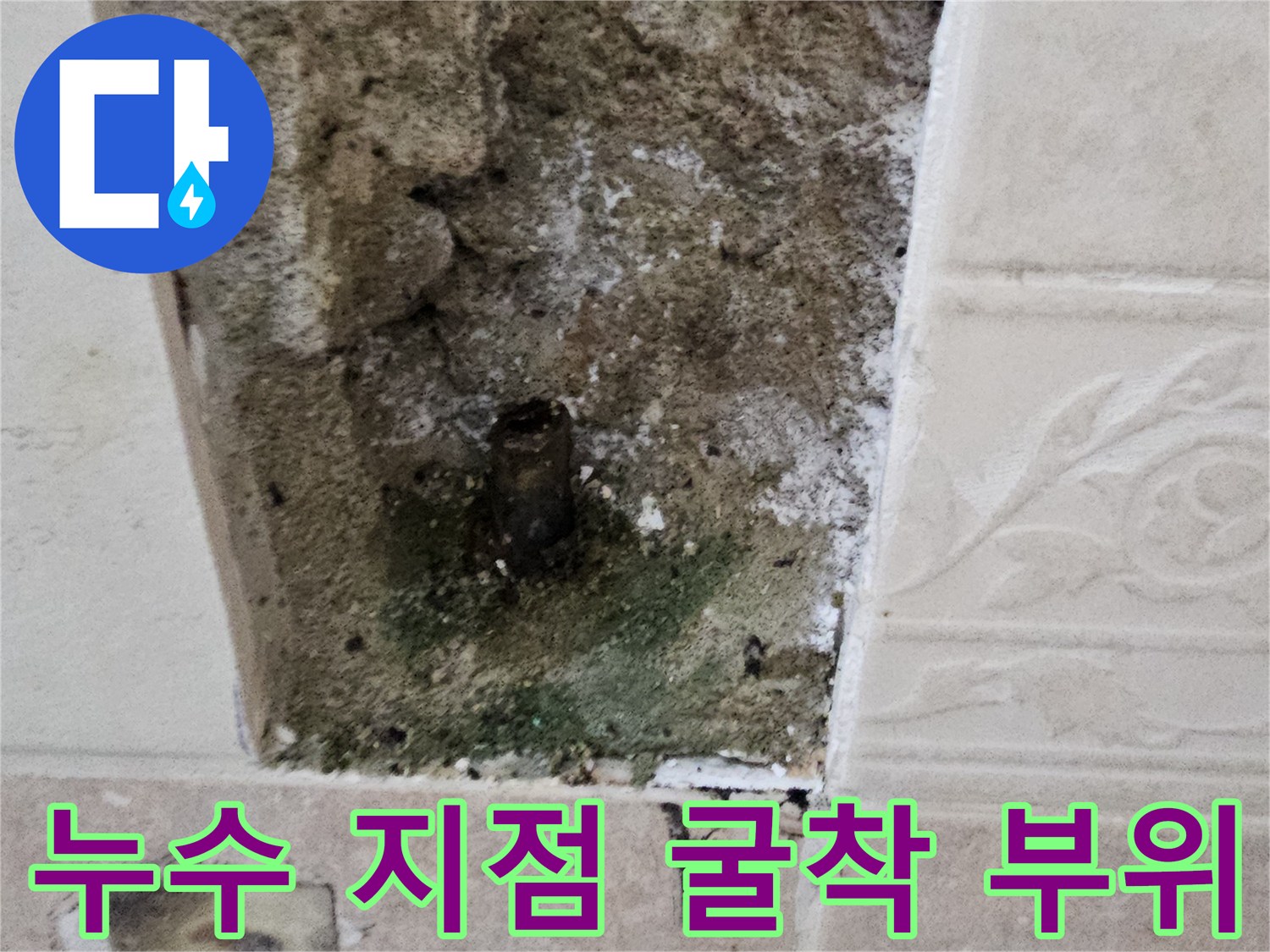 양주시 장흥면-부식된 금속관과 습기로 인한 곰팡이